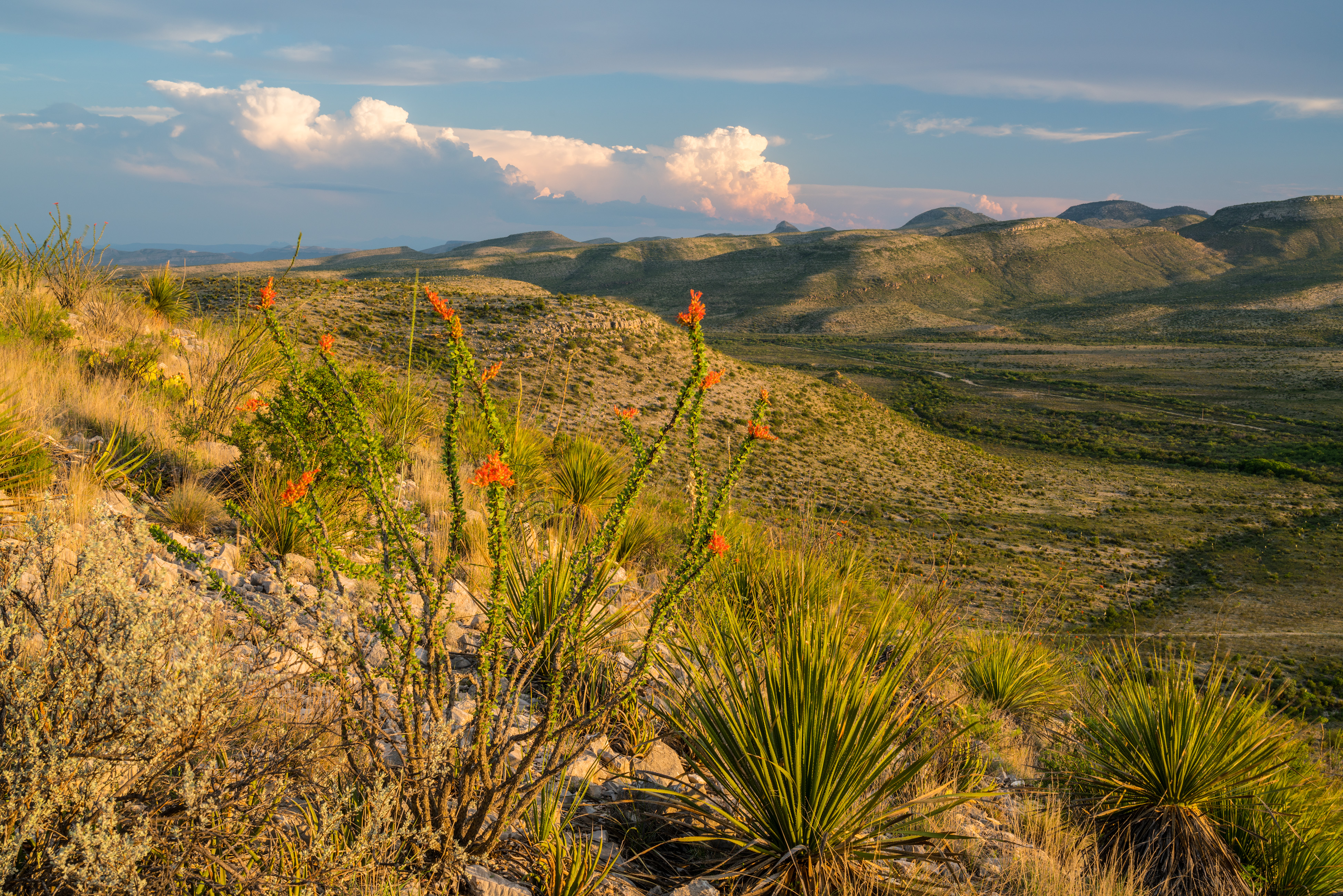 Brewster Ranch, photo 4