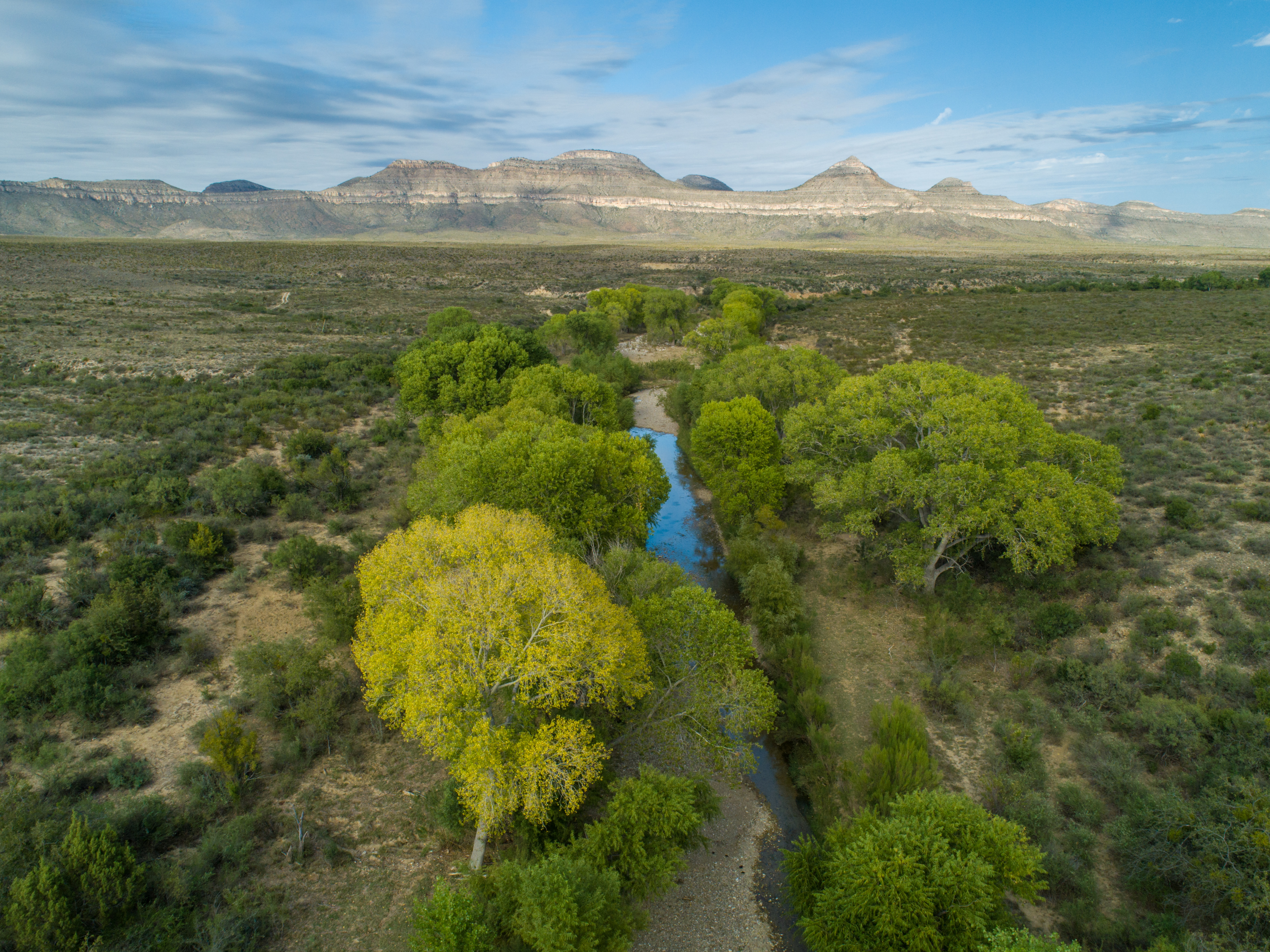 Brewster Ranch, photo 6
