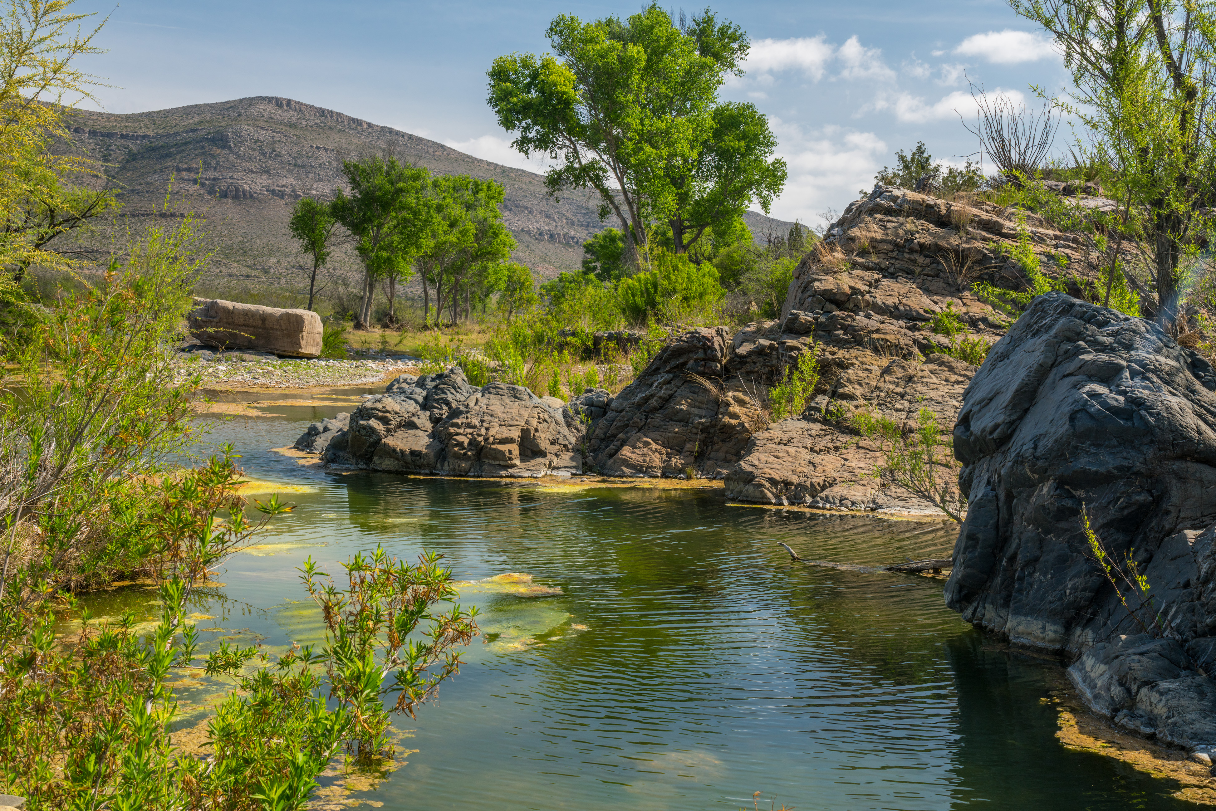 Brewster Ranch, photo 32