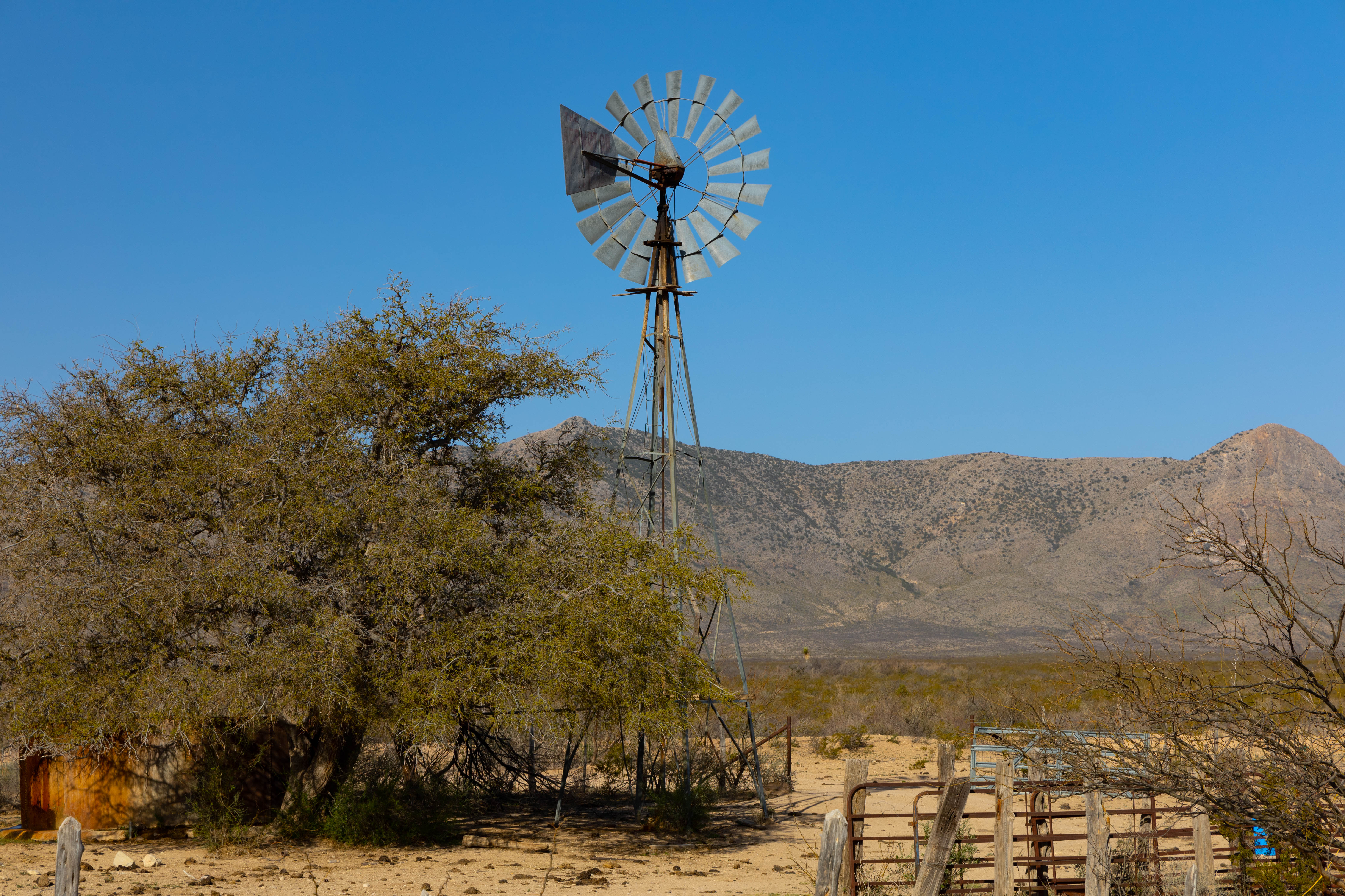 Brewster Ranch, photo 34