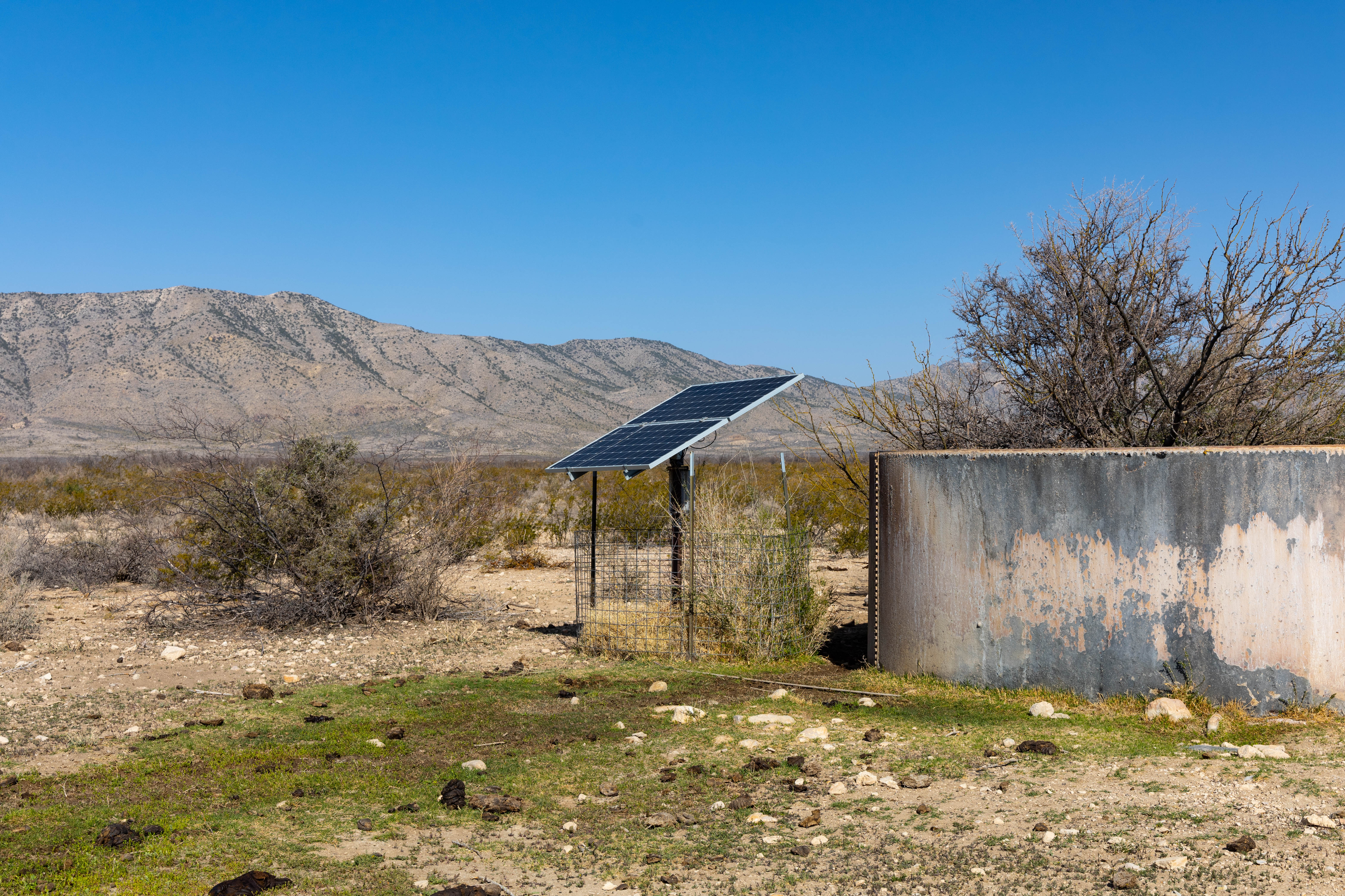 Brewster Ranch, photo 35