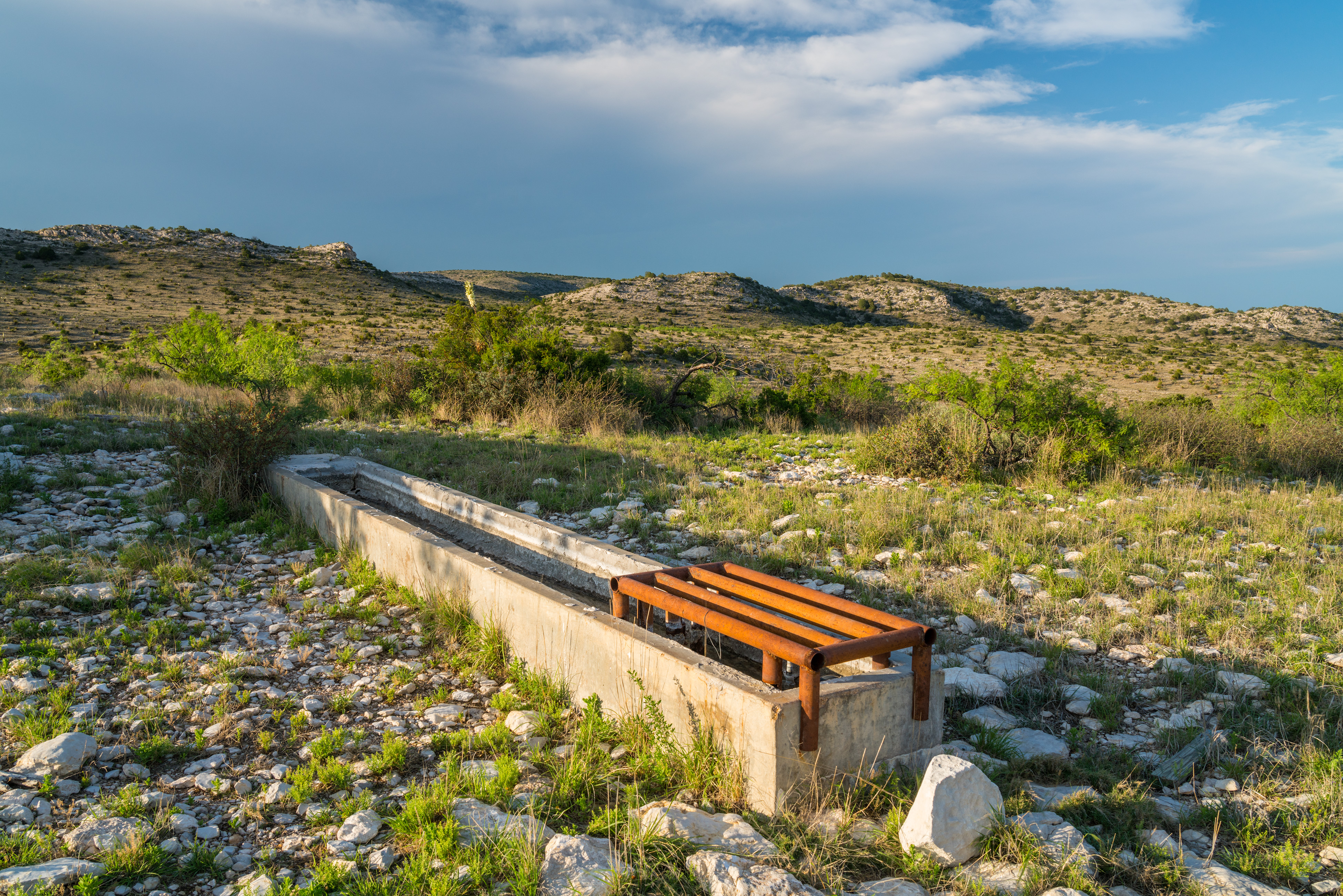 Brewster Ranch, photo 38