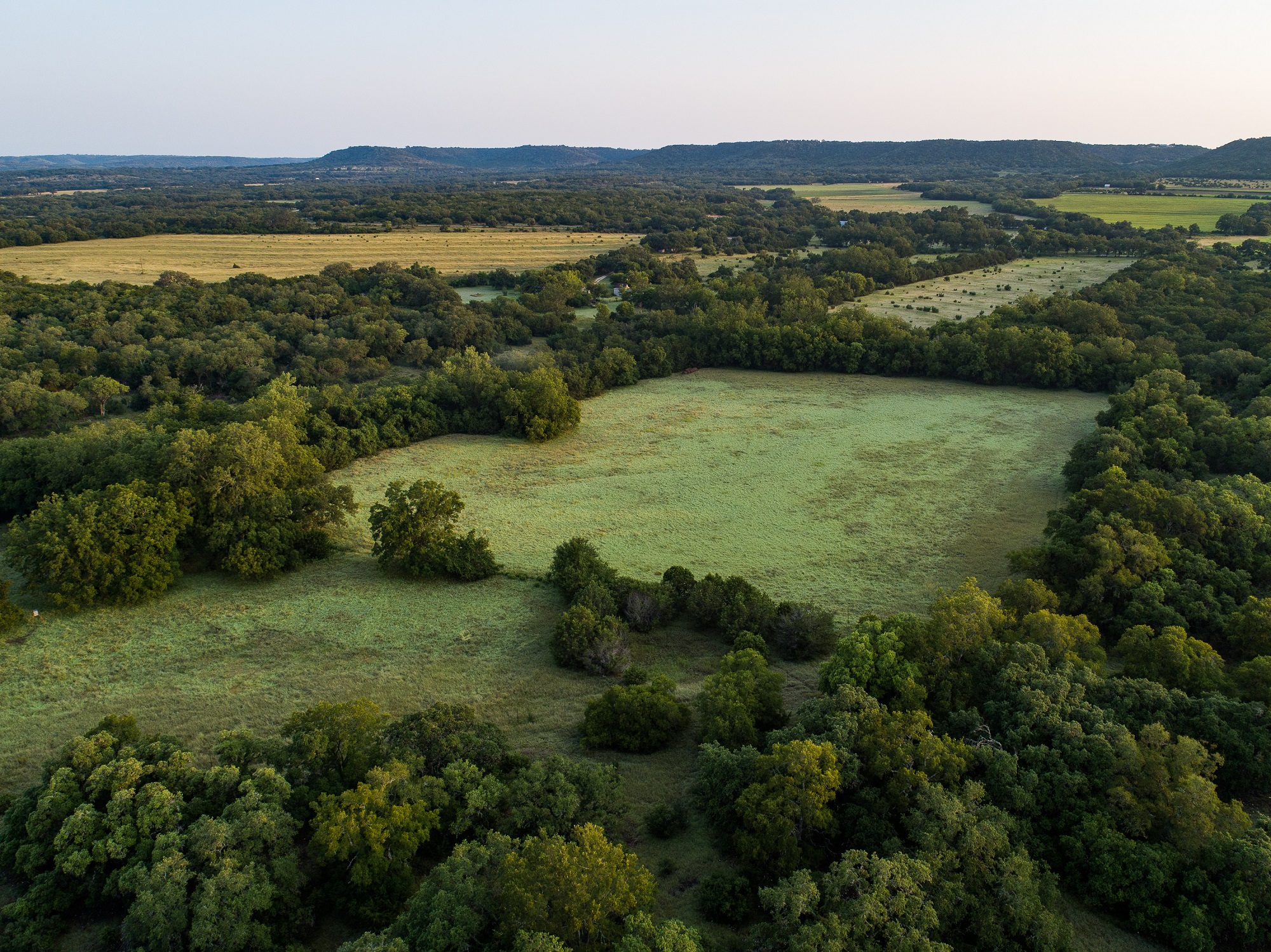 Wild Mercury Preserve