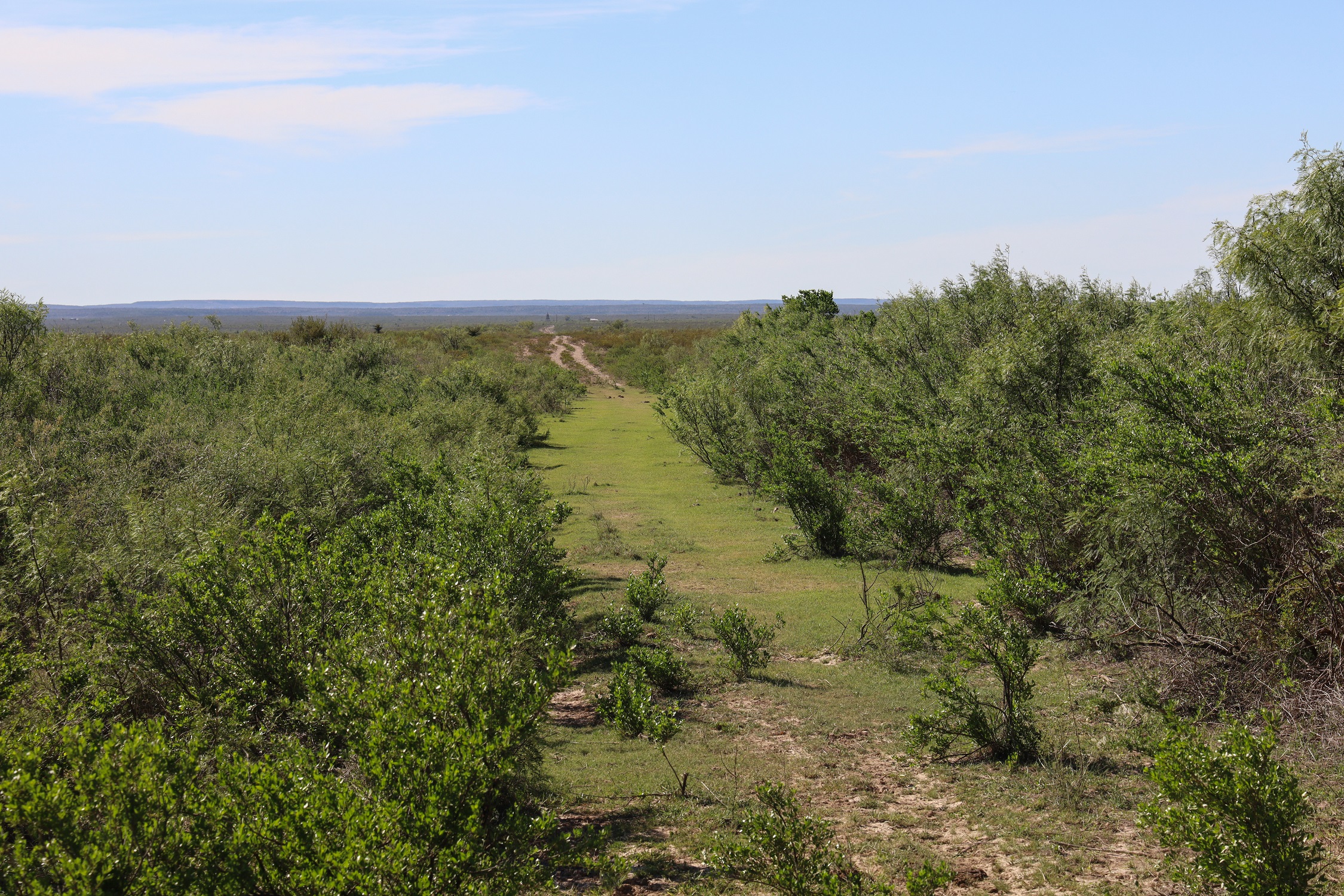 Riata East Ranch
