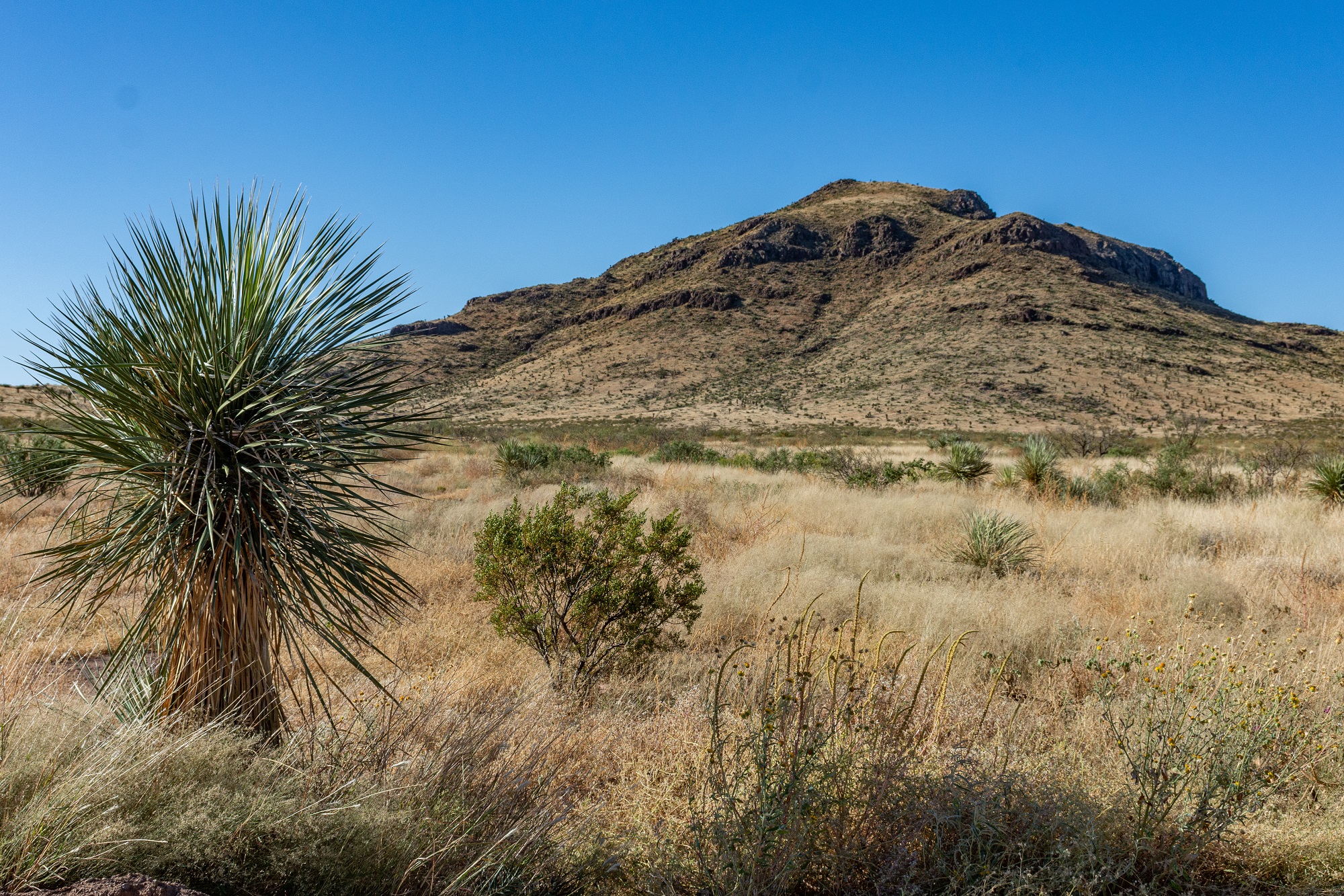 Baeza Ranch