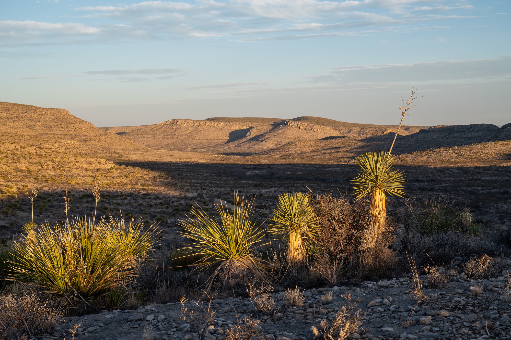 Desert Mountain Ranch, photo 21