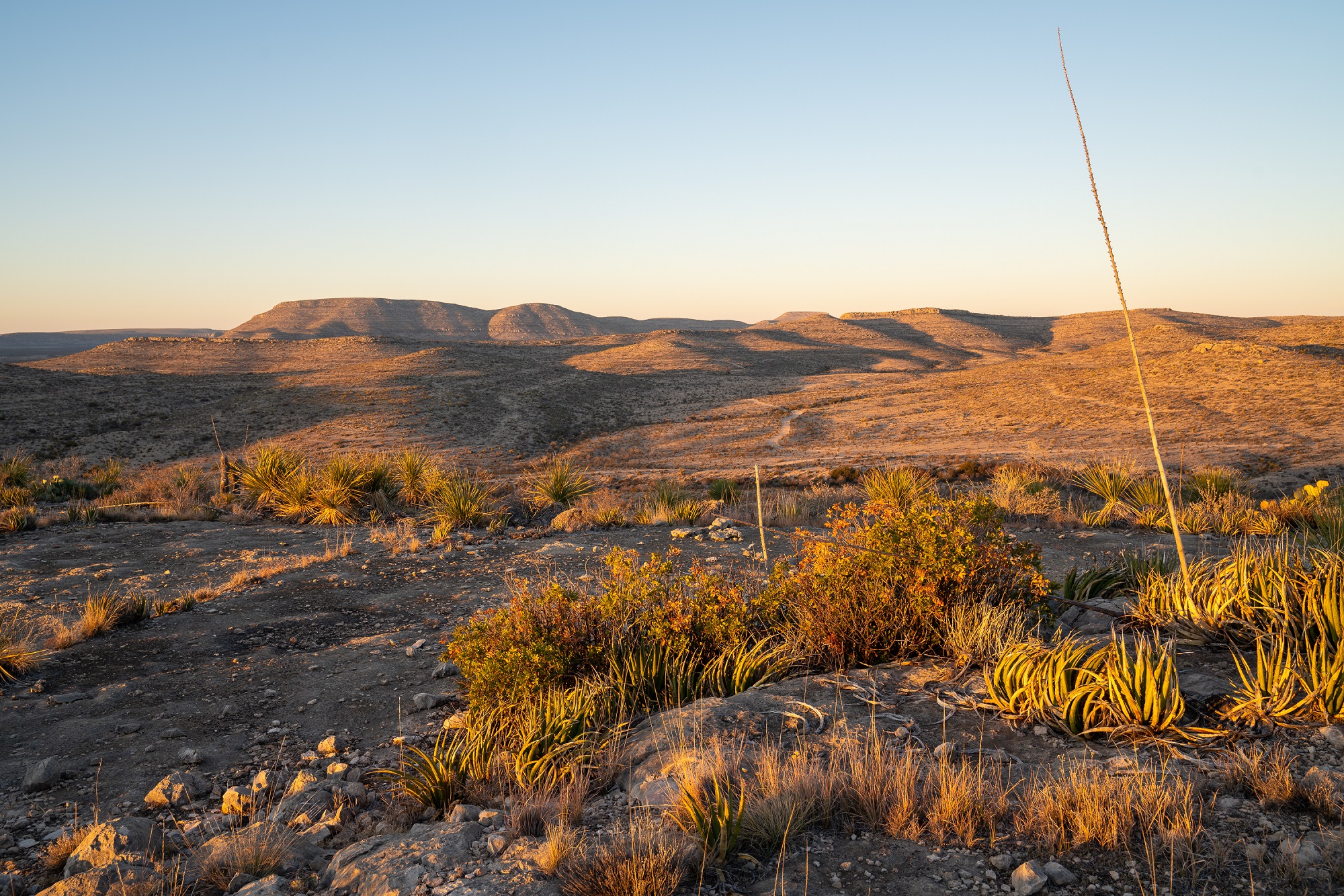 Desert Mountain Ranch, photo 22