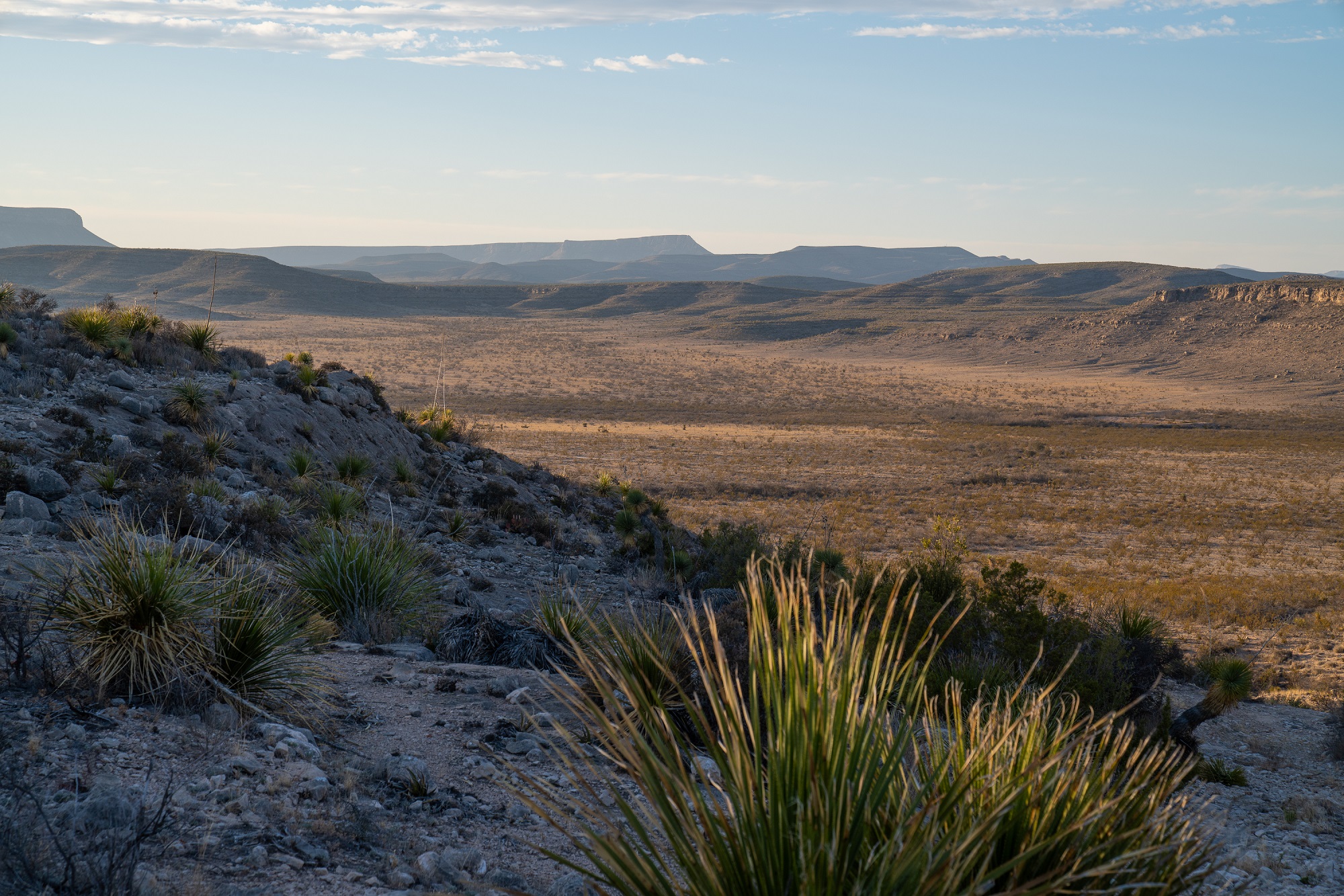 Desert Mountain Ranch, photo 24