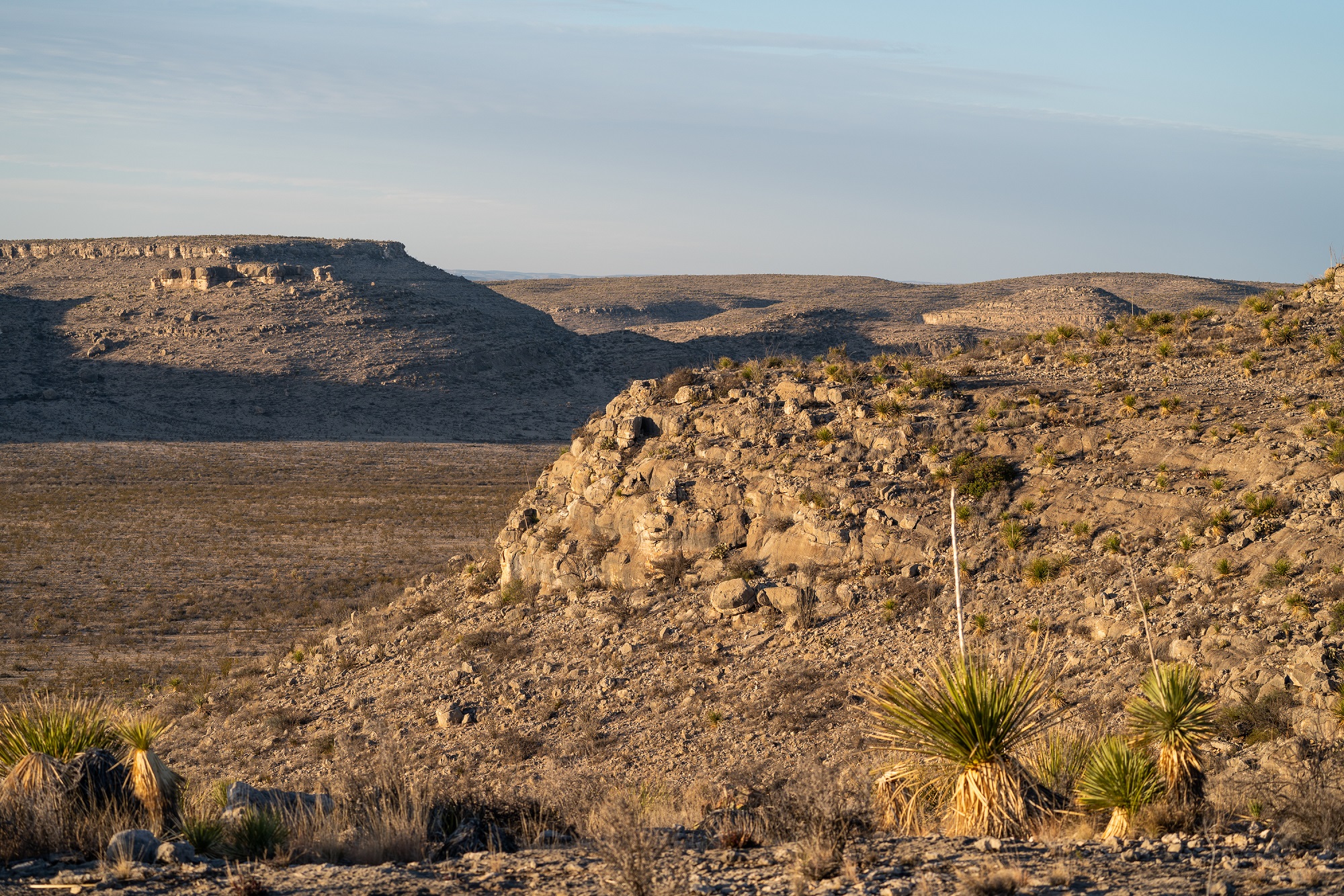 Desert Mountain Ranch, photo 26