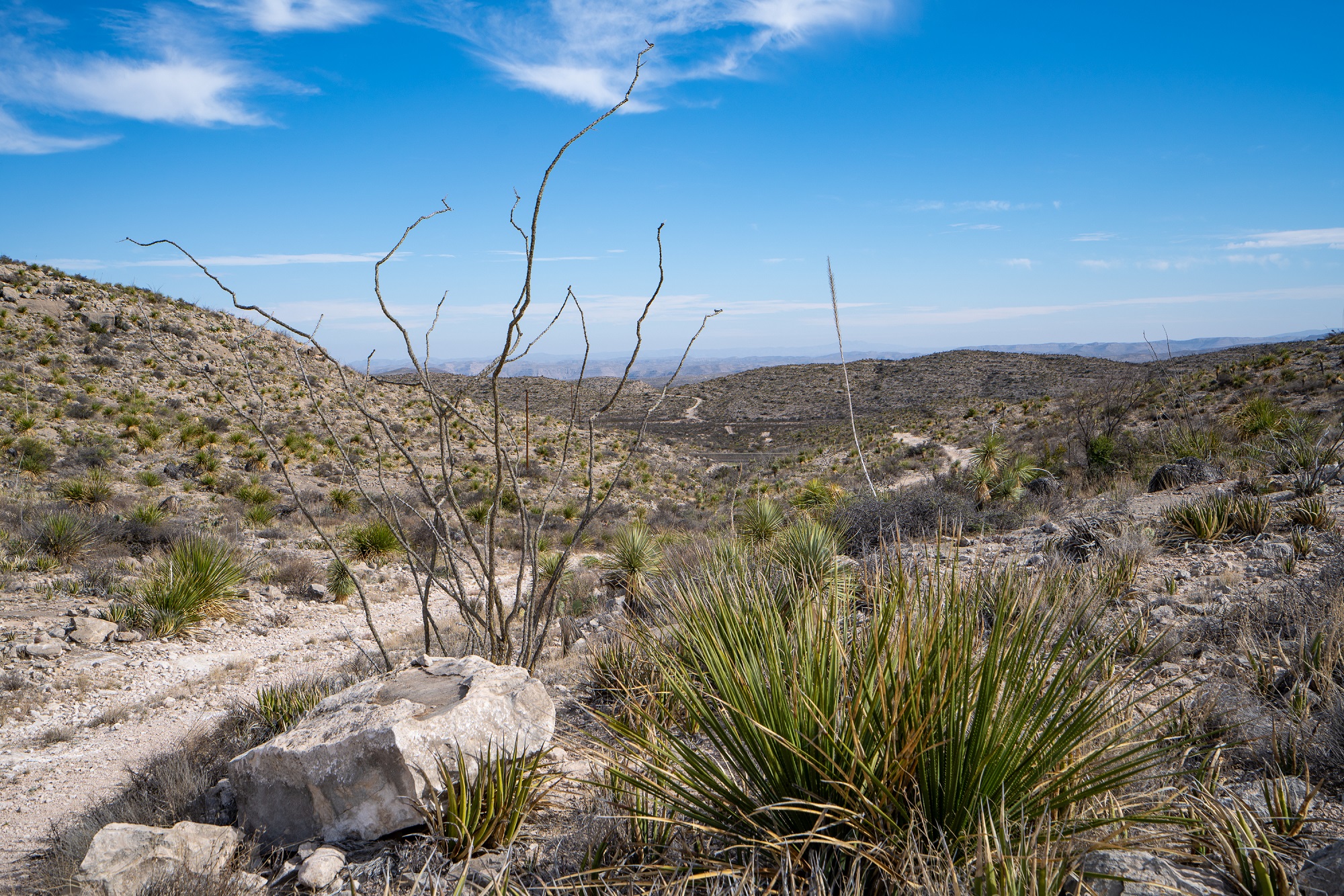 Desert Mountain Ranch, photo 2