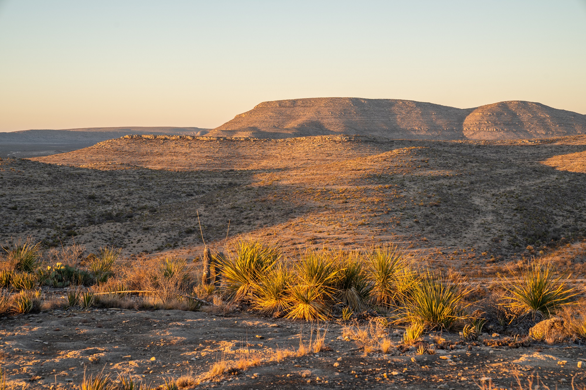 Desert Mountain Ranch, photo 29