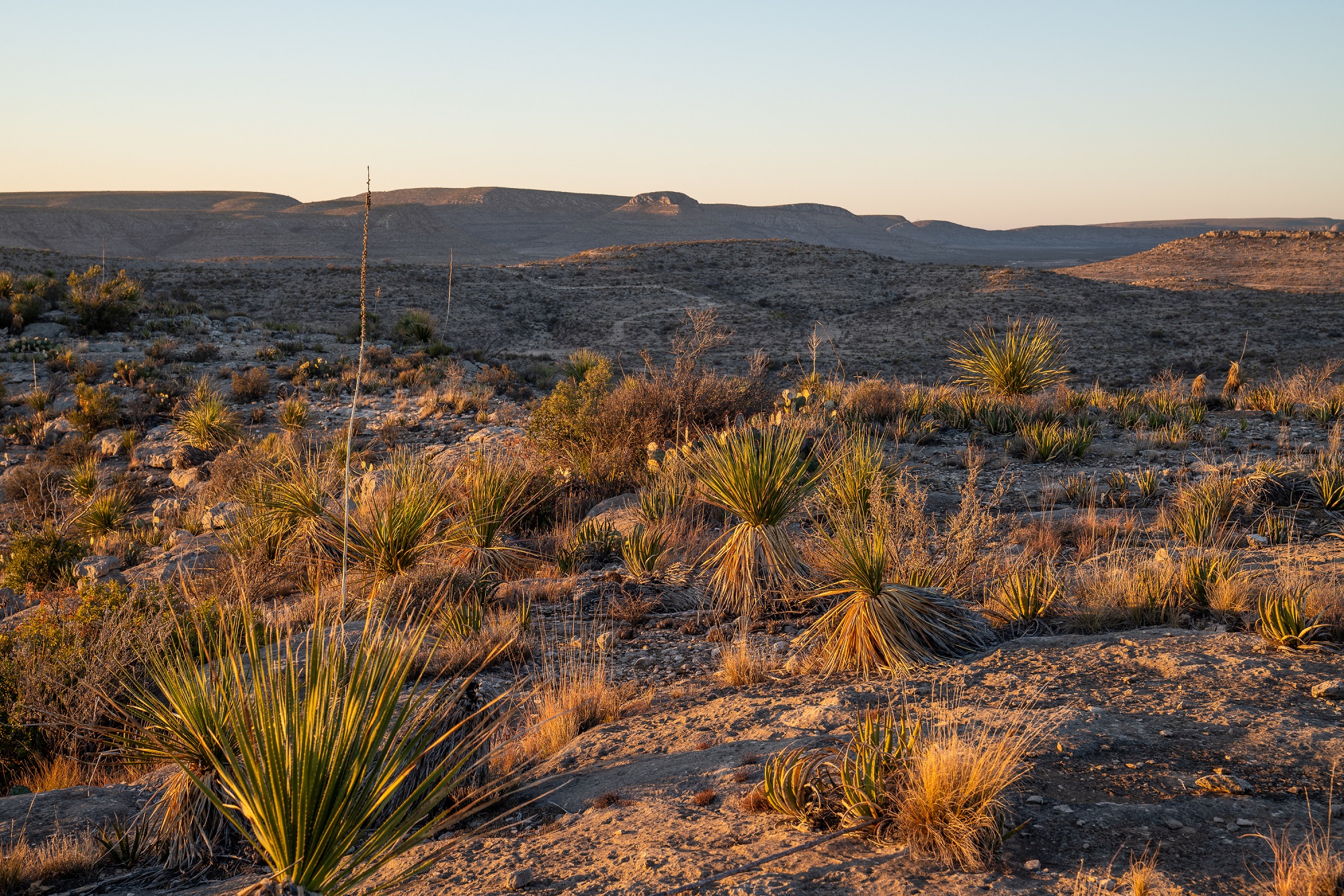 Desert Mountain Ranch, photo 30