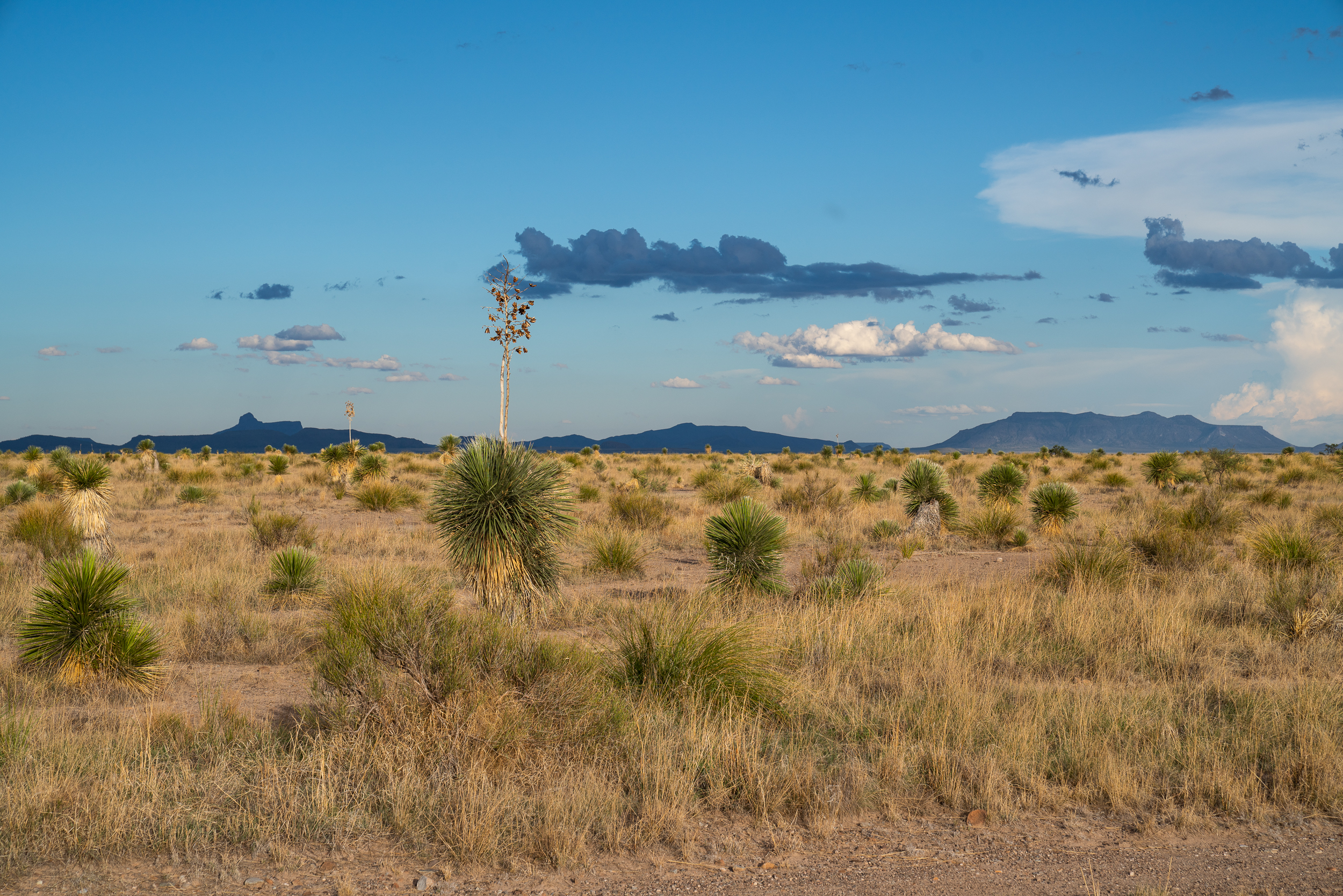MacGuire Ranch