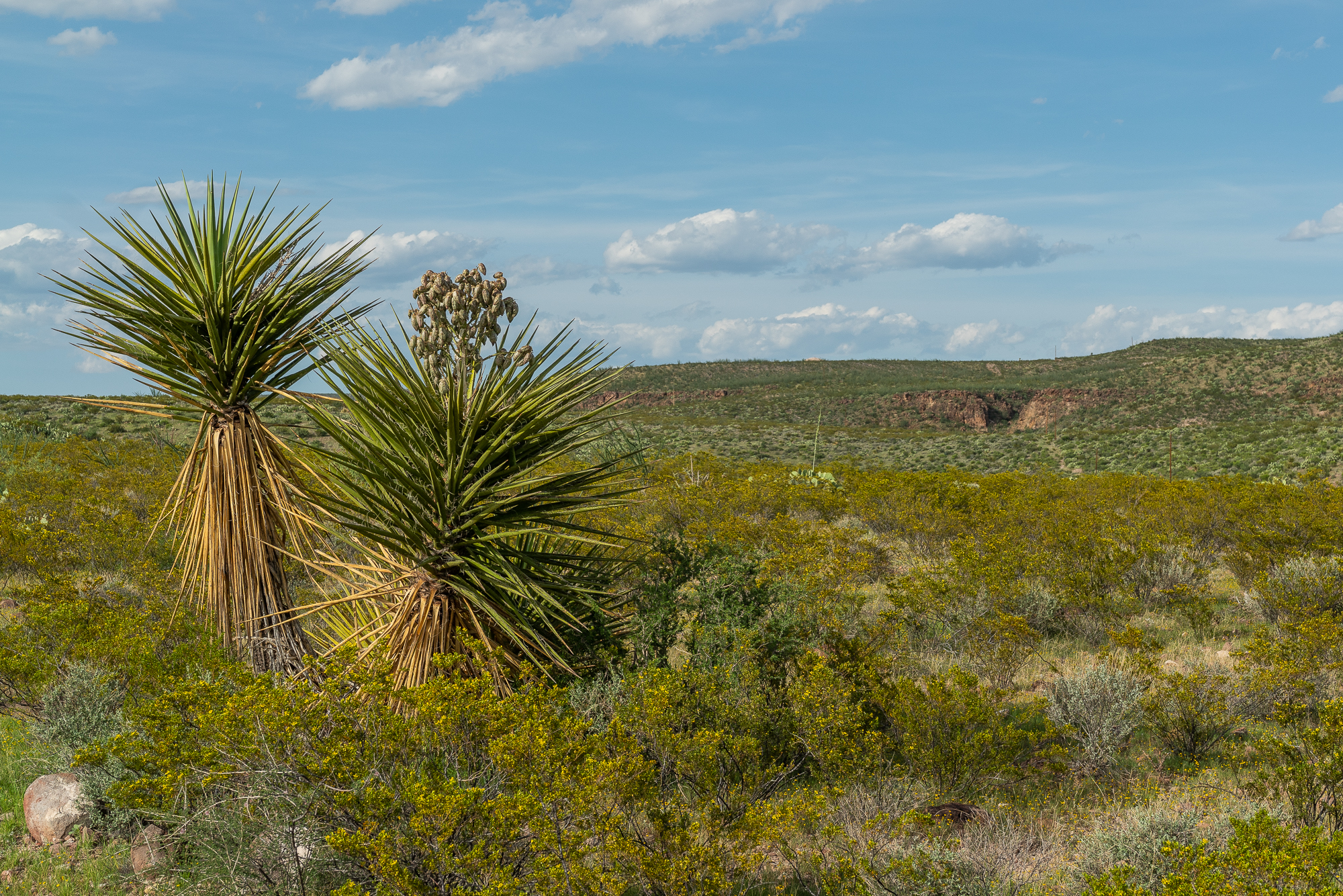 Pascasio Ranch