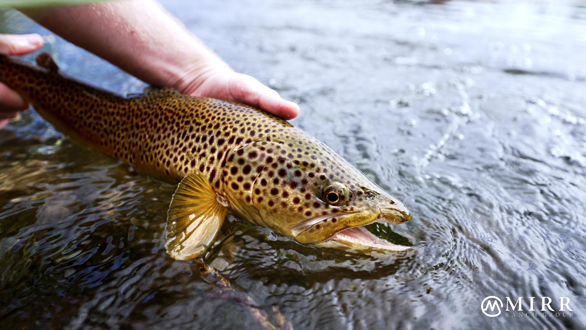 Elk Creek Ranch, photo 9