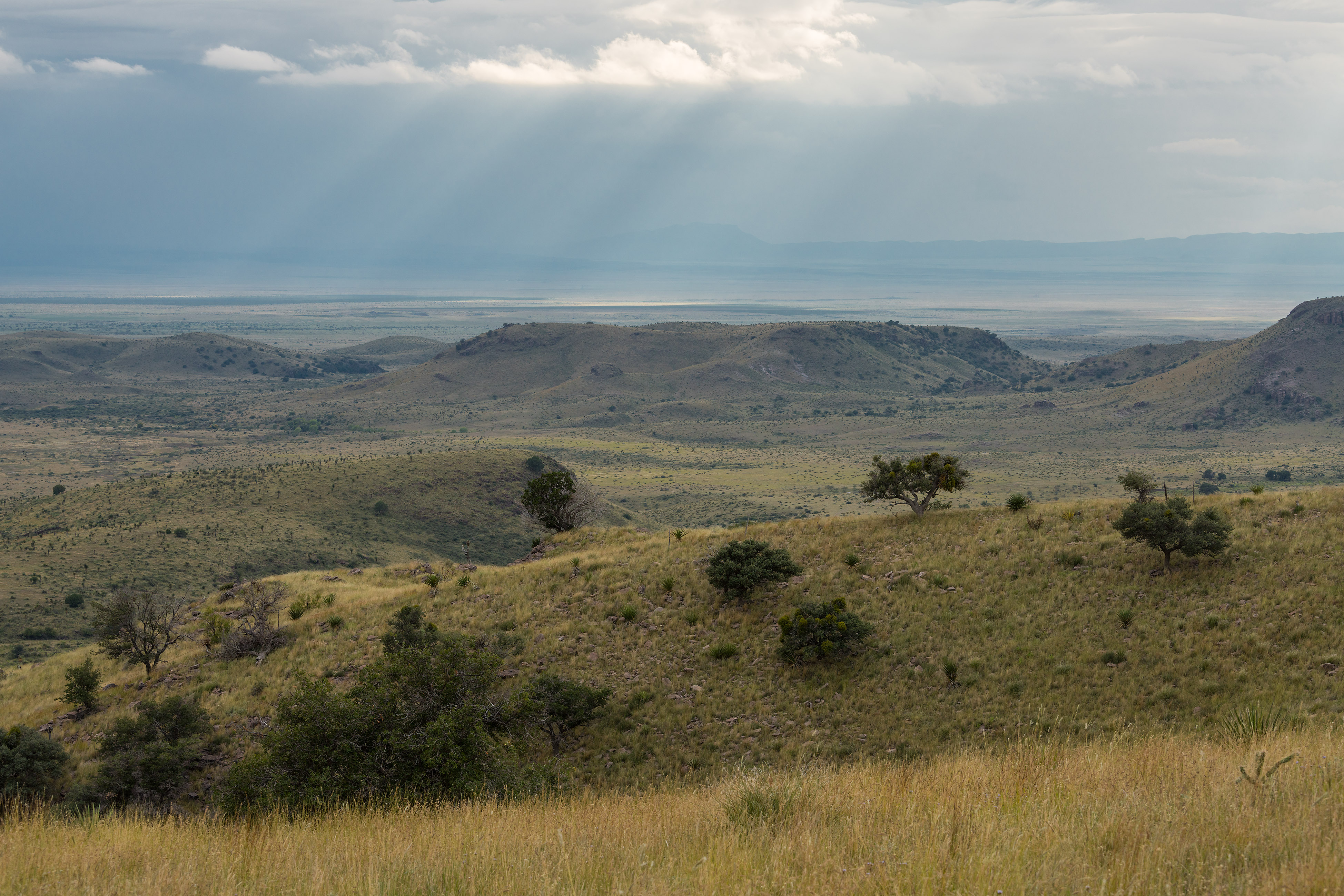 El Paseo Del San Antonio Ranch