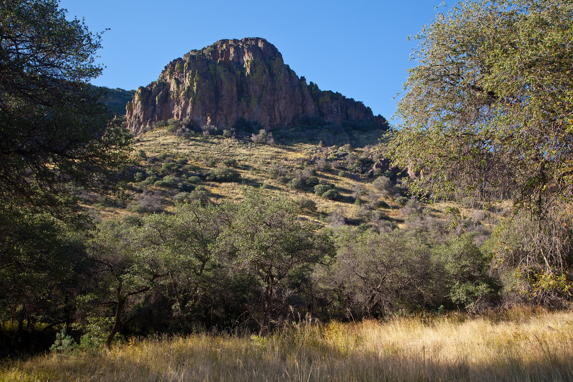 Livermore Ranch