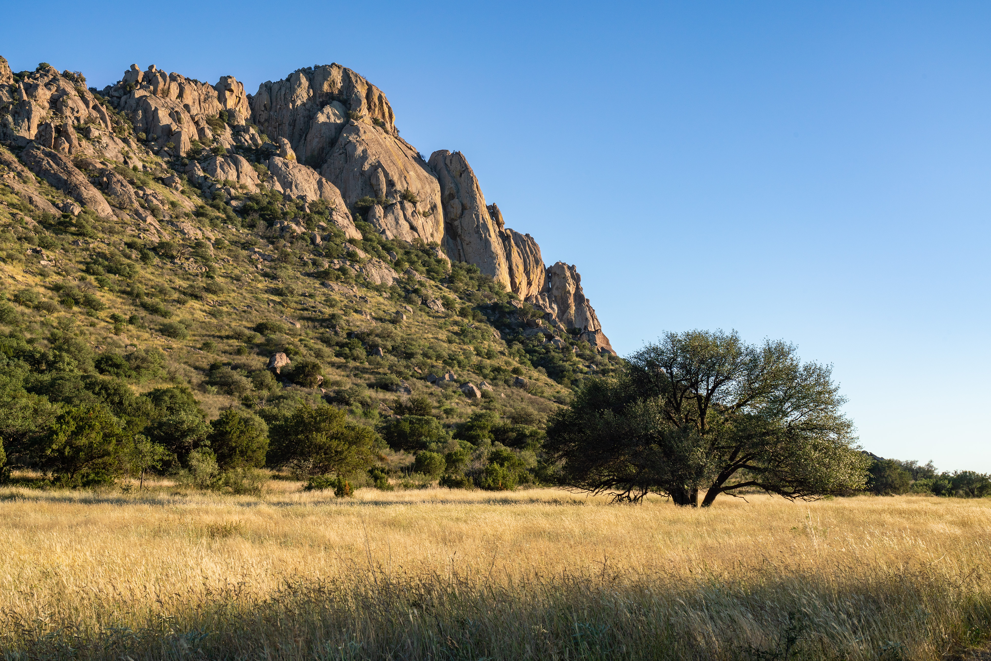 Iron Mountain Ranch