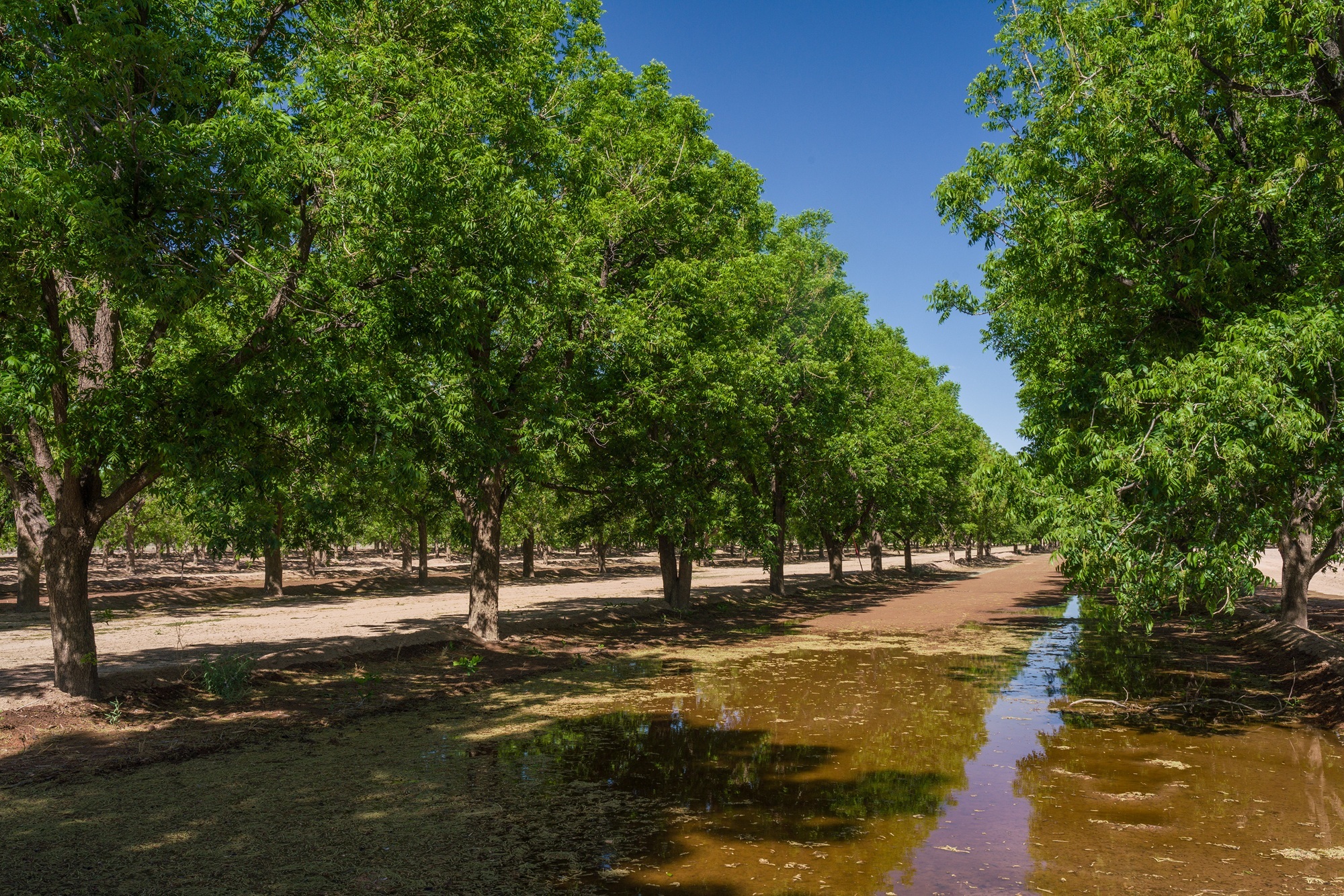 Koehn Ranch and Farm