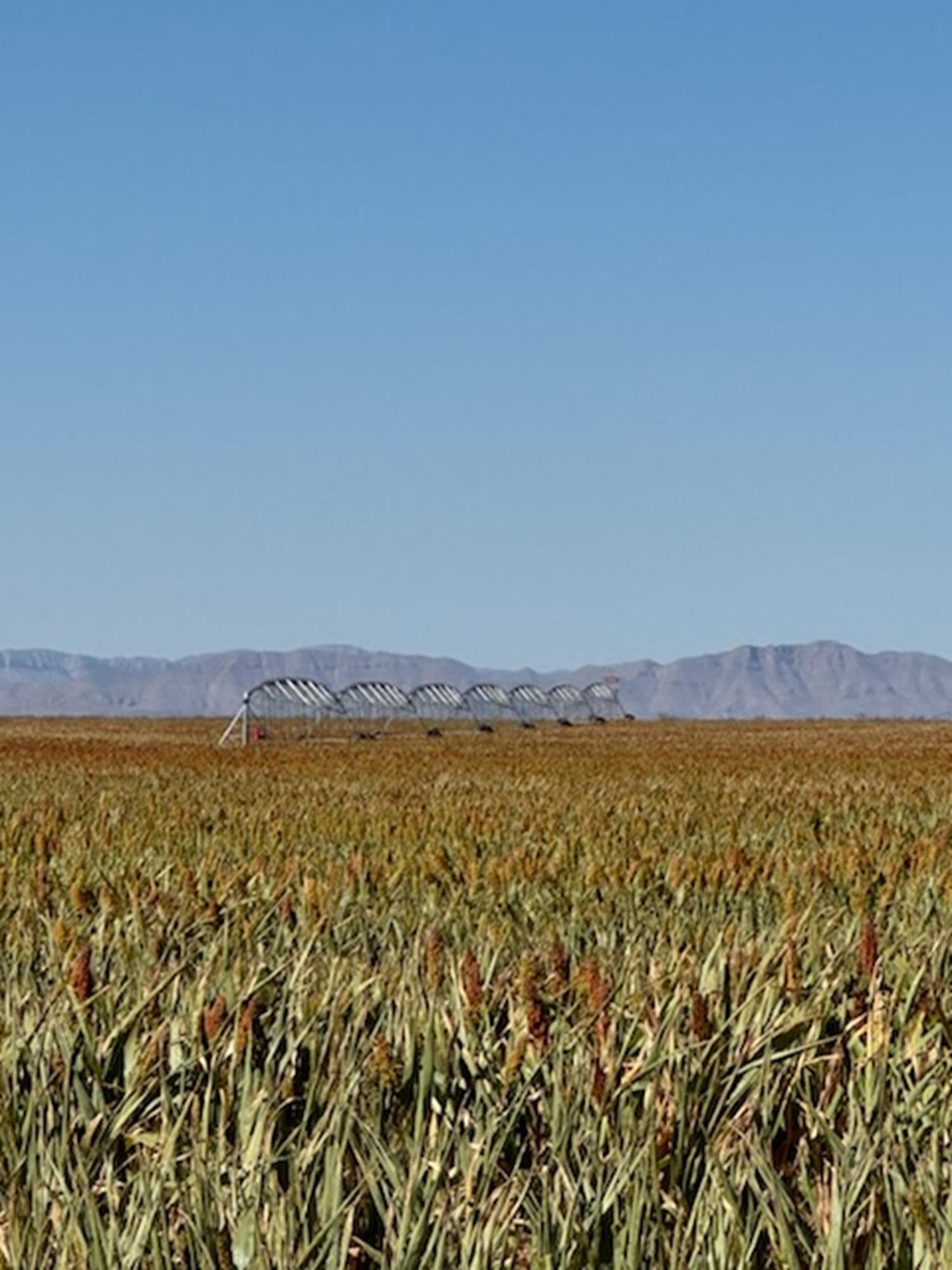 Koehn Ranch and Farm, photo 35