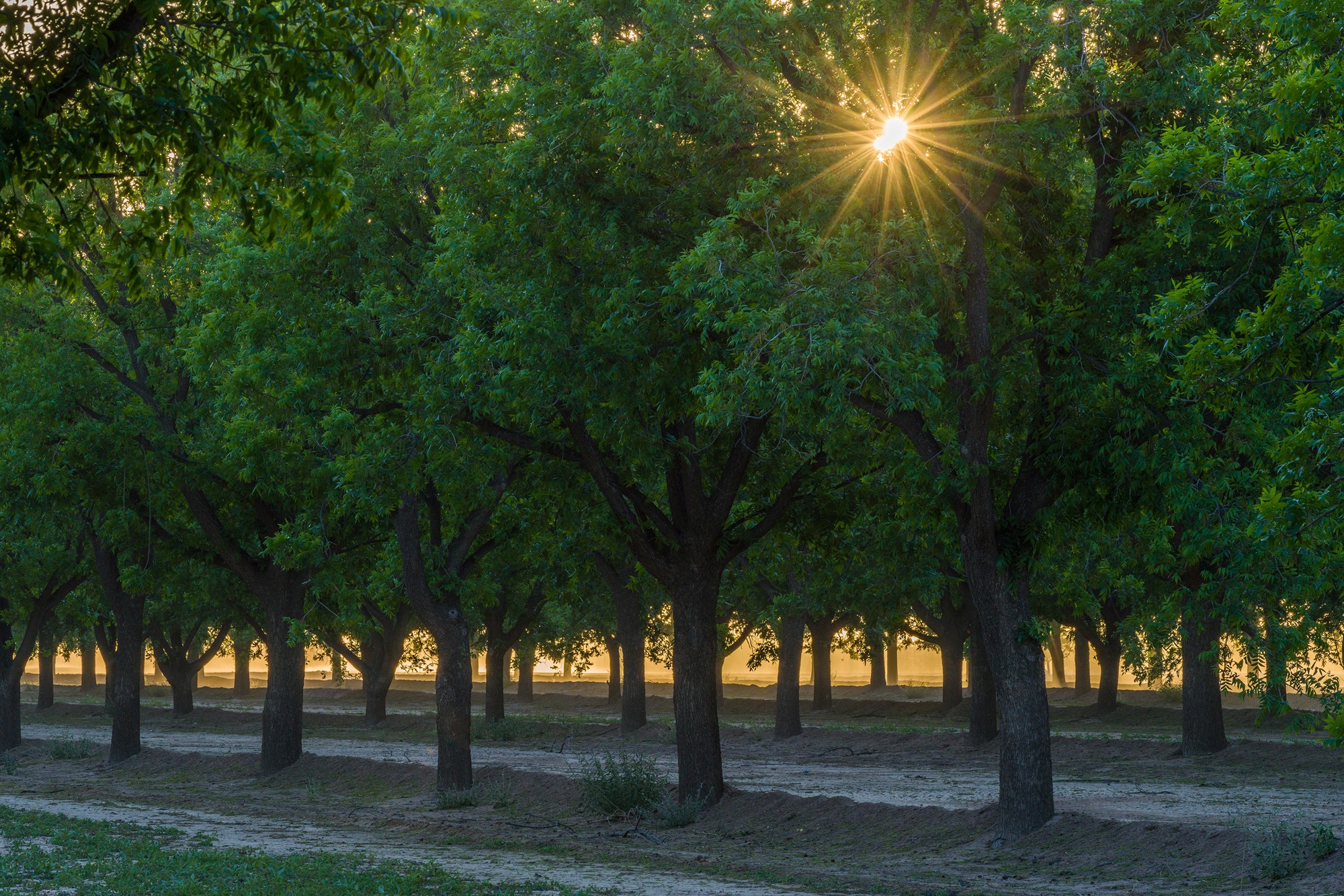 Koehn Ranch and Farm, photo 38