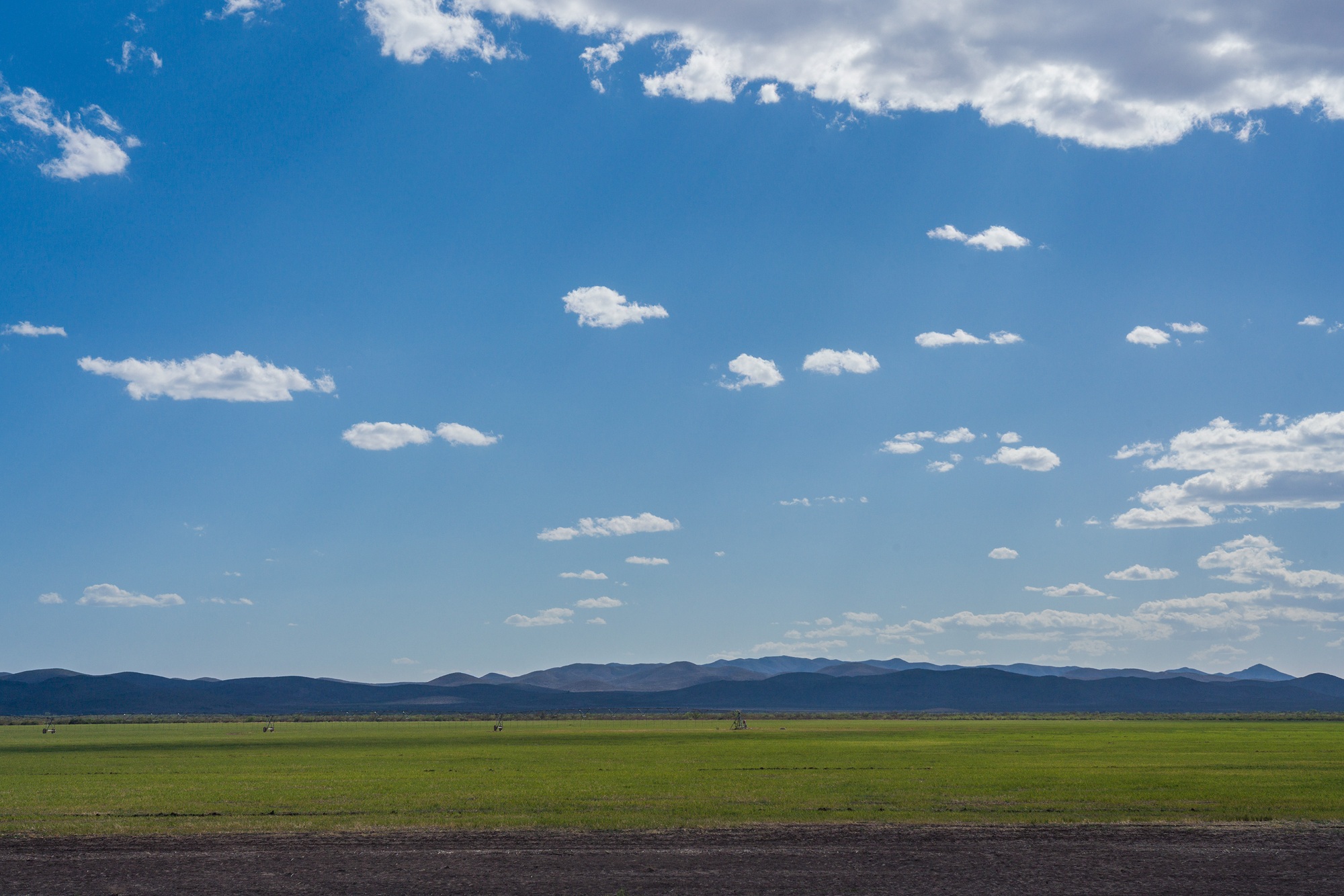 Koehn Ranch and Farm, photo 5