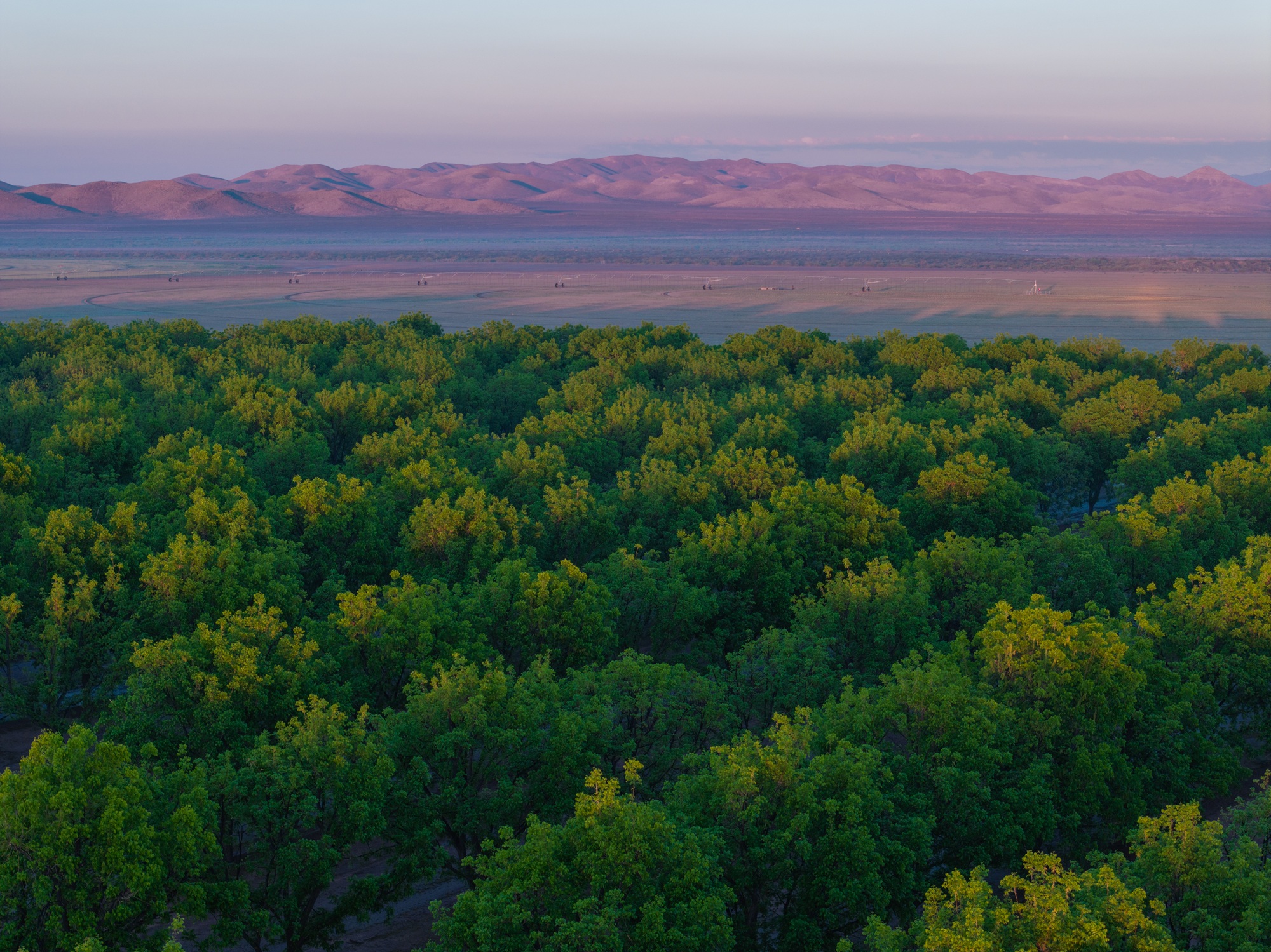 Koehn Ranch and Farm, photo 6