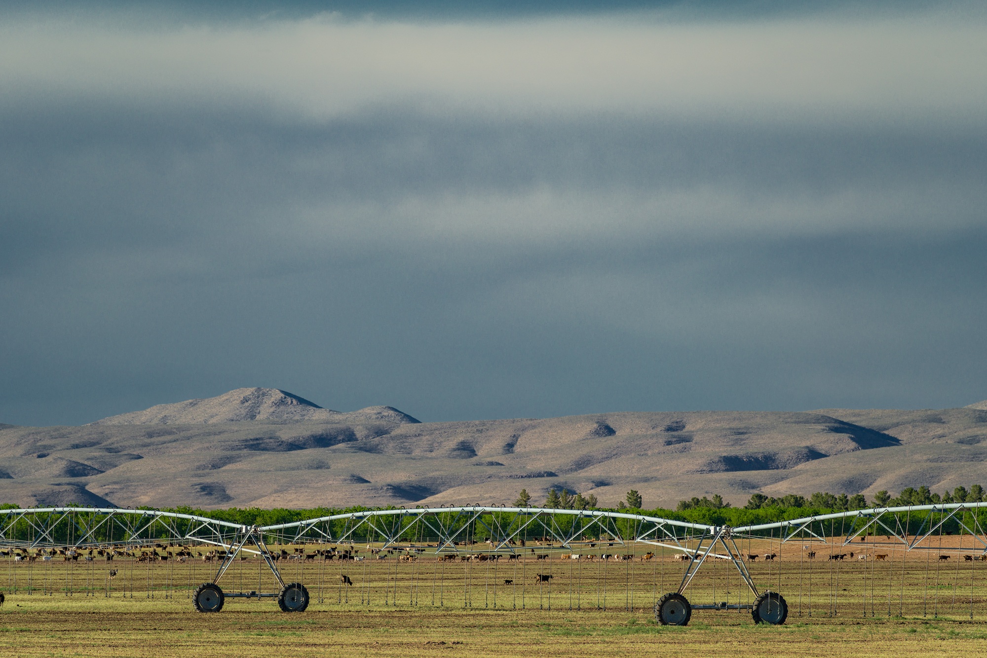 Koehn Ranch and Farm, photo 7