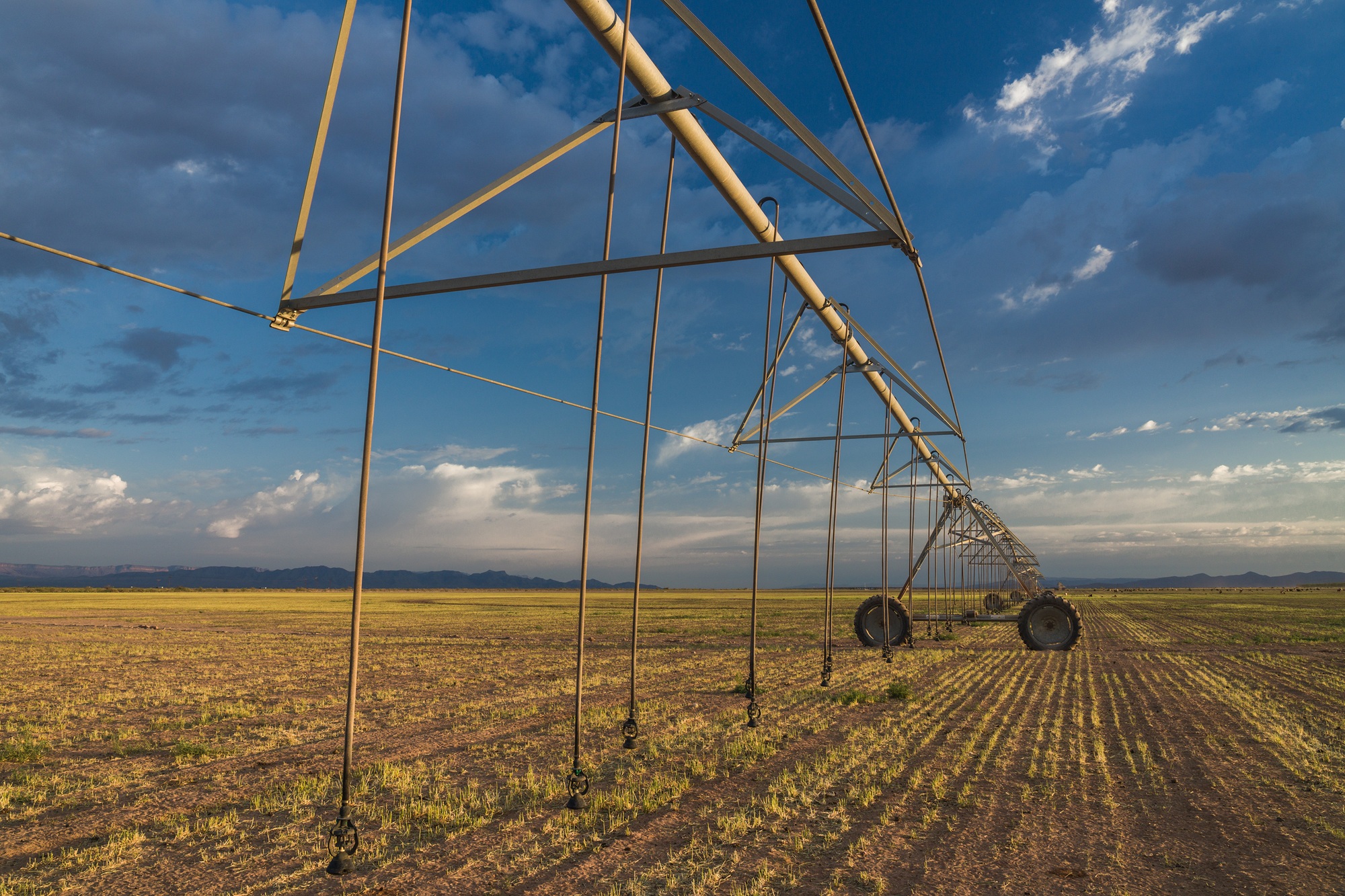 Koehn Ranch and Farm, photo 8