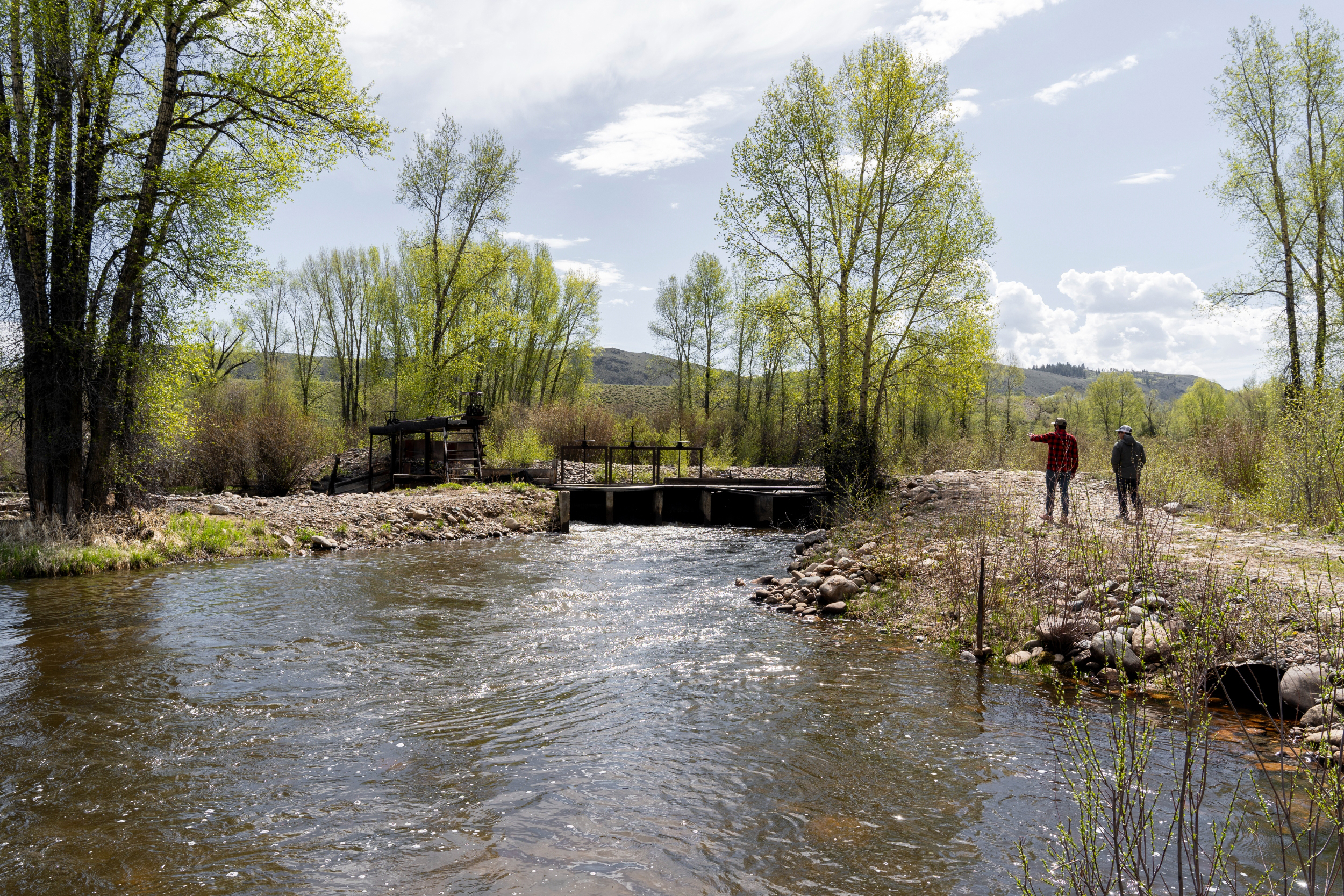 Reeder Creek Ranch