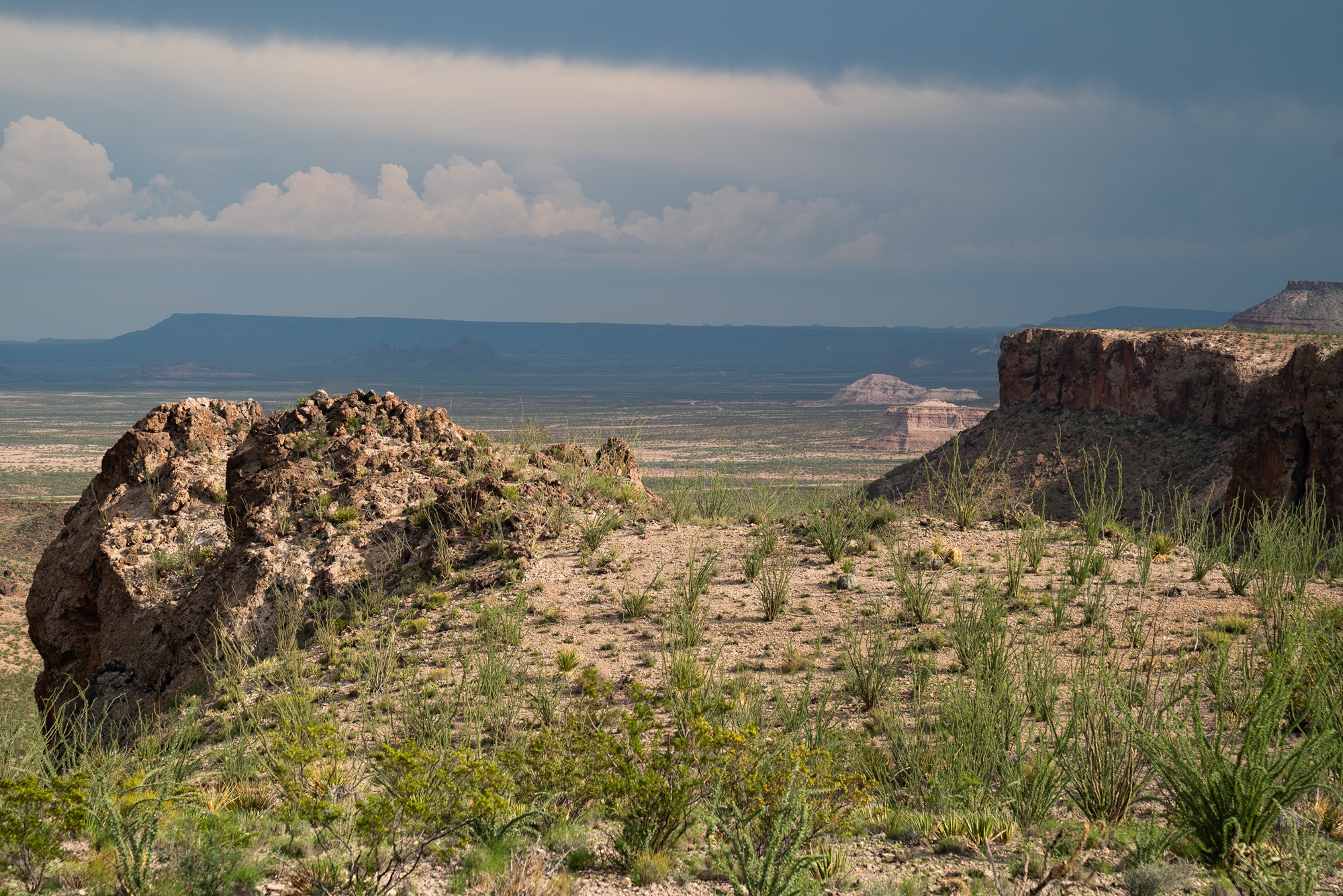 Ocotillo Rim Ranch