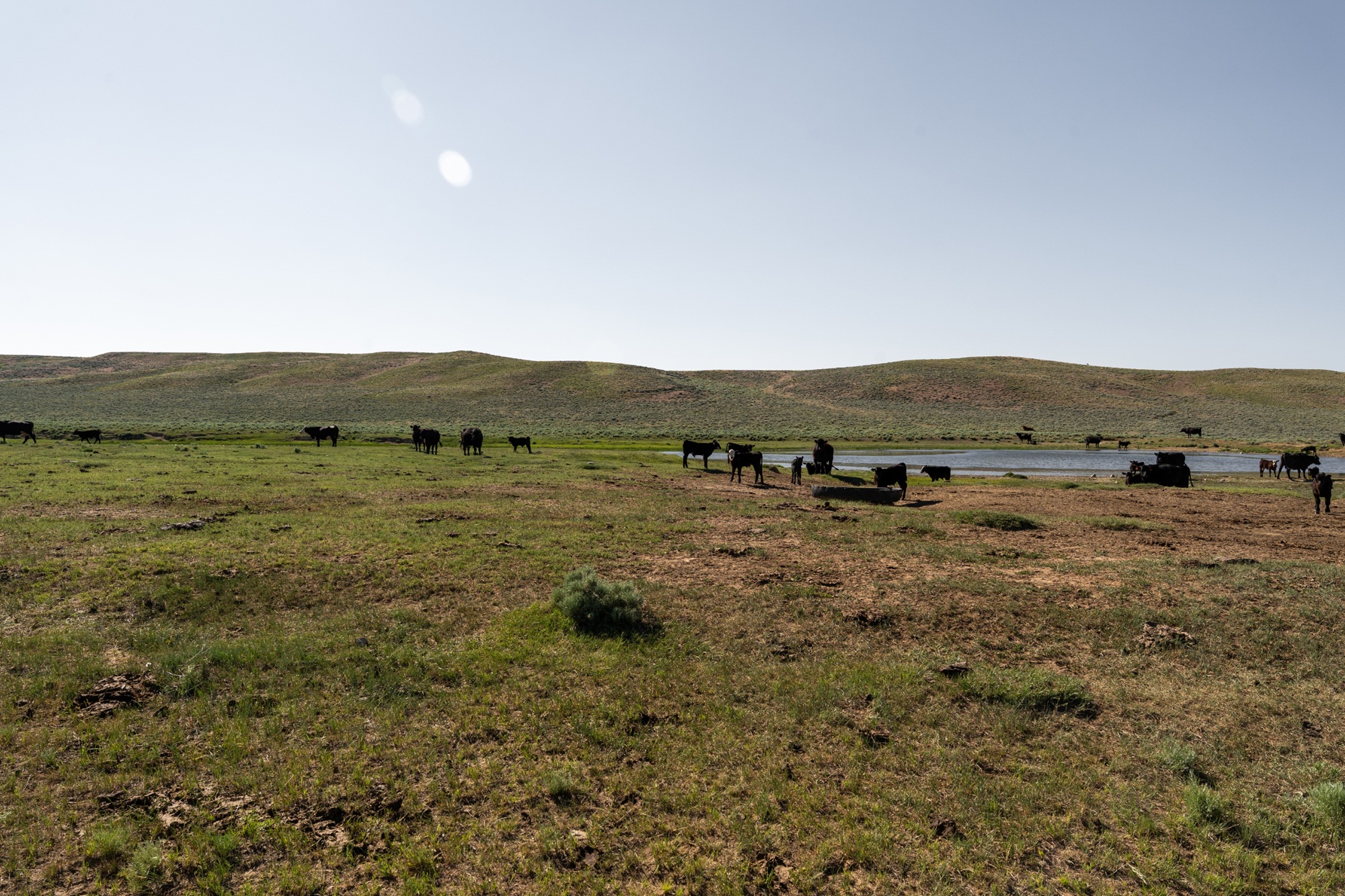 Wild Horse Basin Ranch