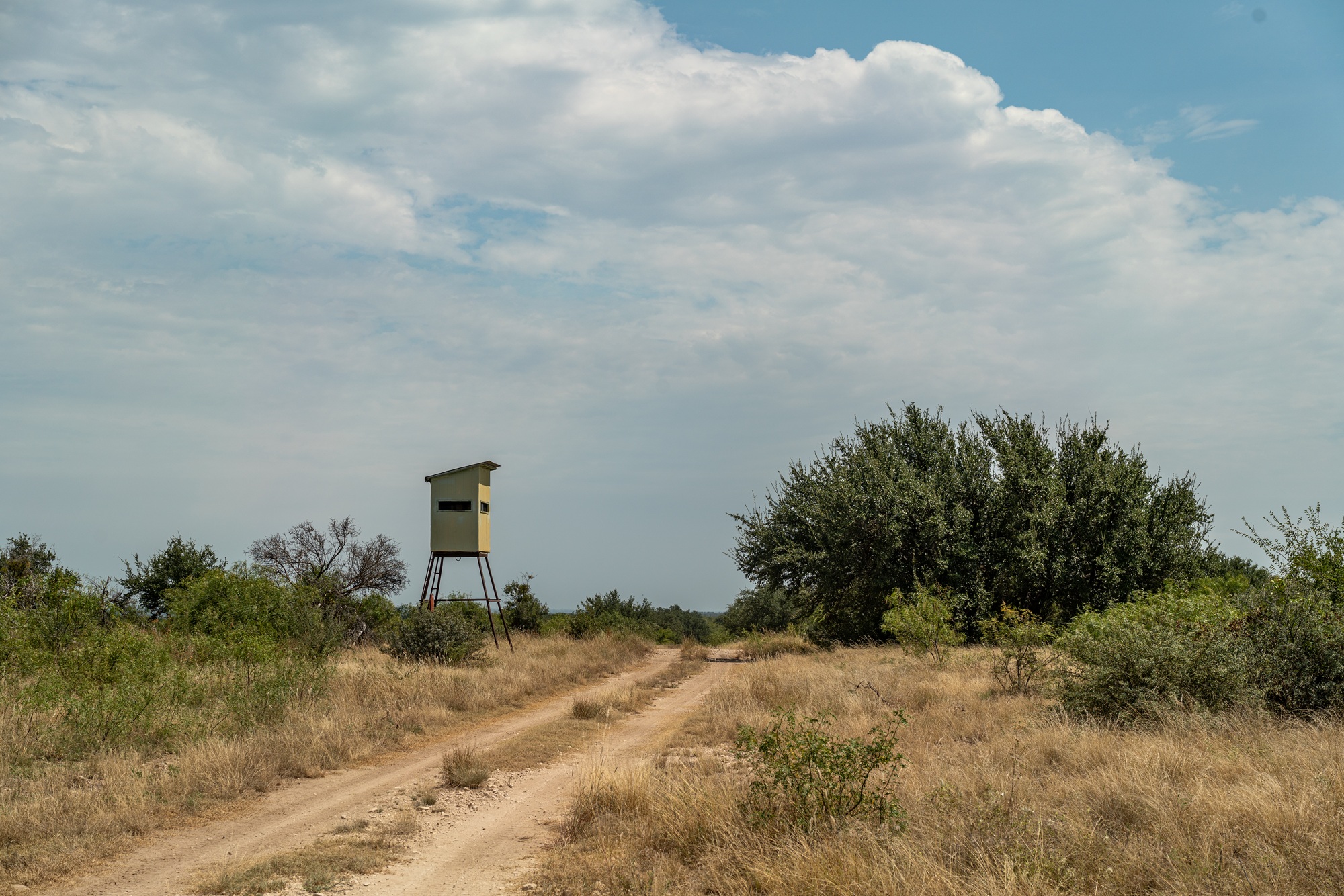 Allison Menard Ranch, photo 10
