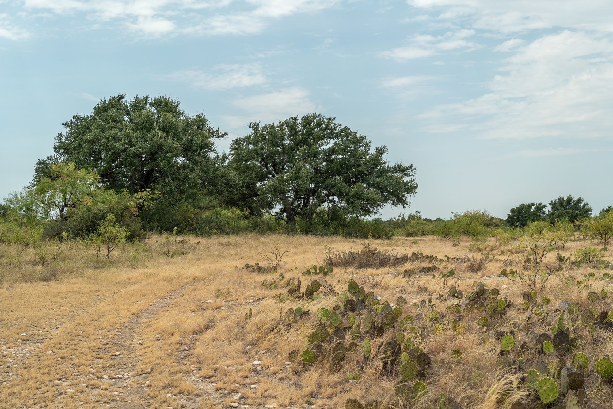 Allison Menard Ranch, photo 11