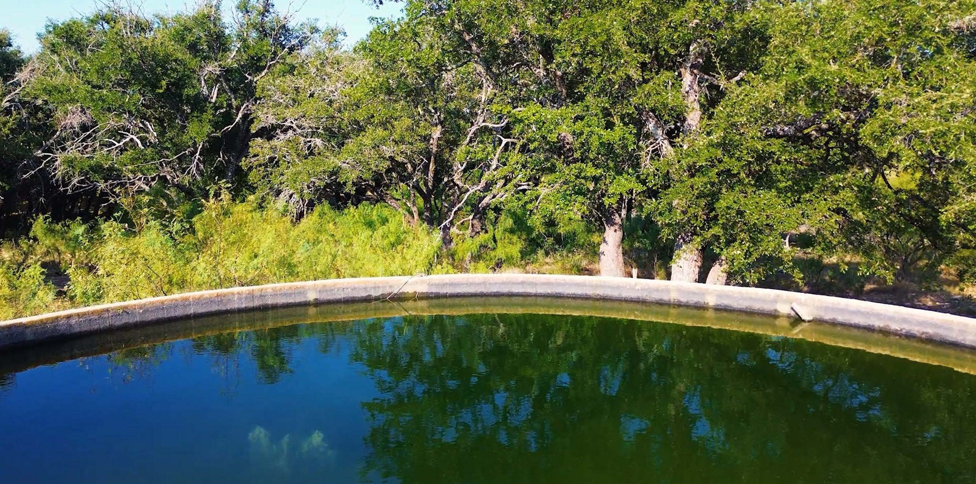 Allison Menard Ranch, photo 15
