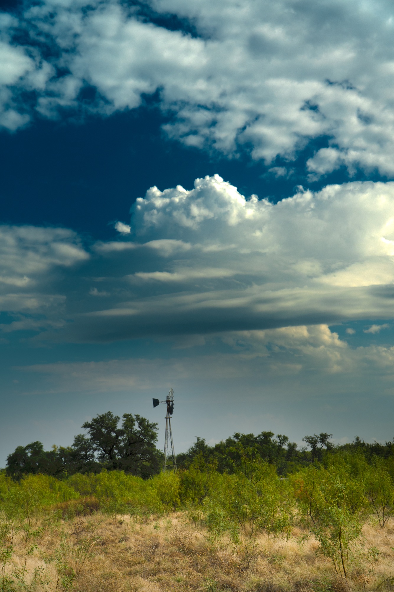 Allison Menard Ranch, photo 16