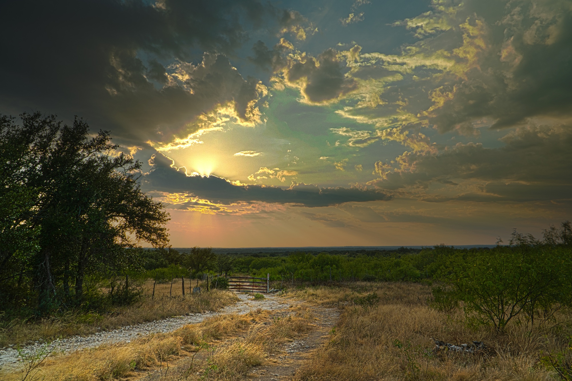 Allison Menard Ranch, photo 17
