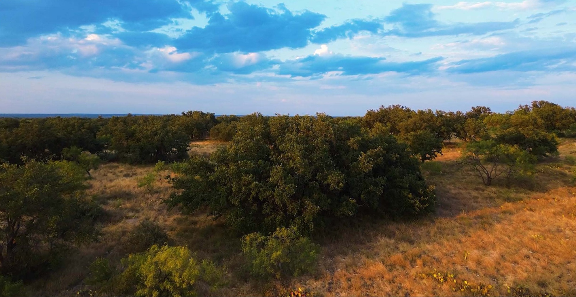 Allison Menard Ranch, photo 3