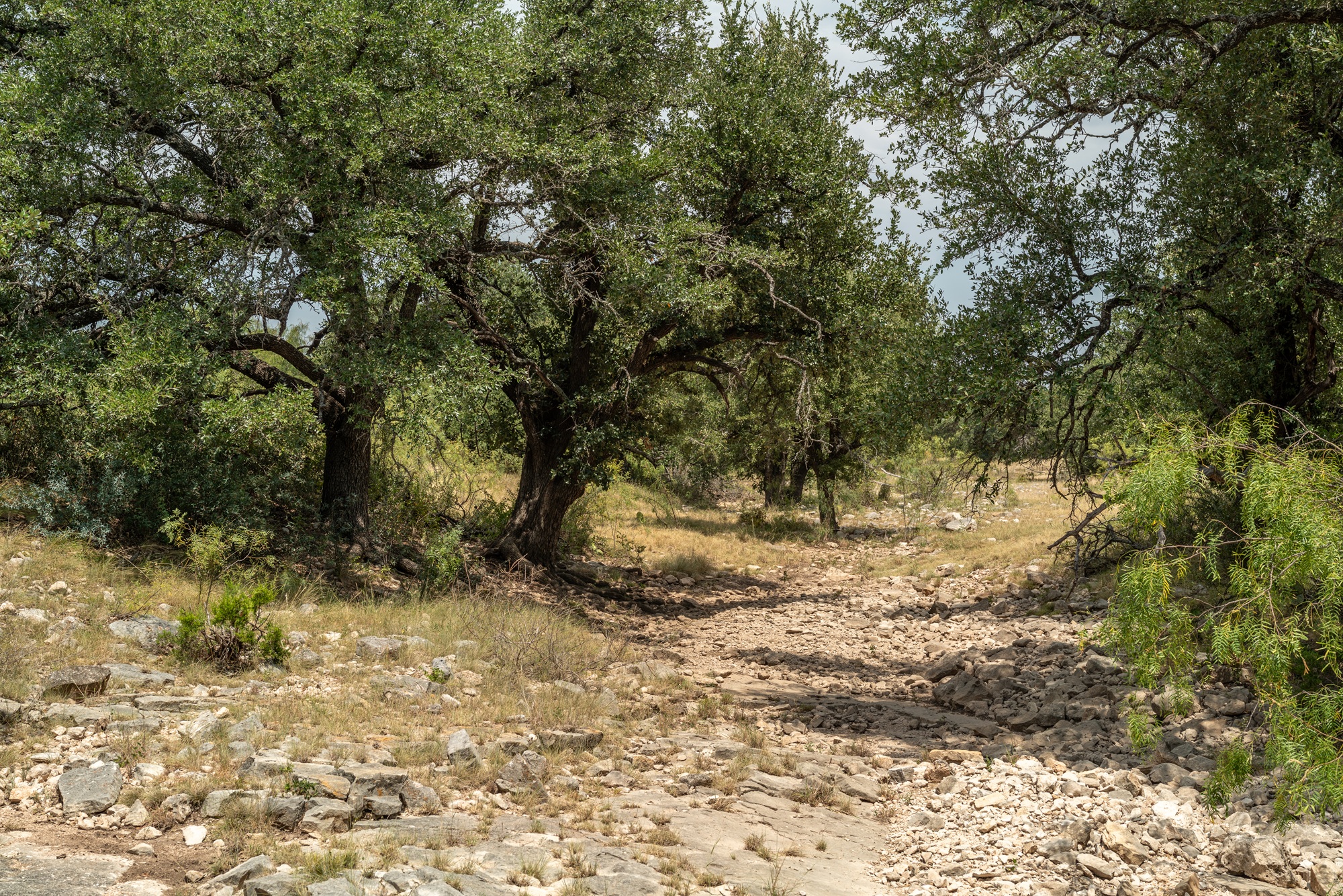 Allison Menard Ranch, photo 4