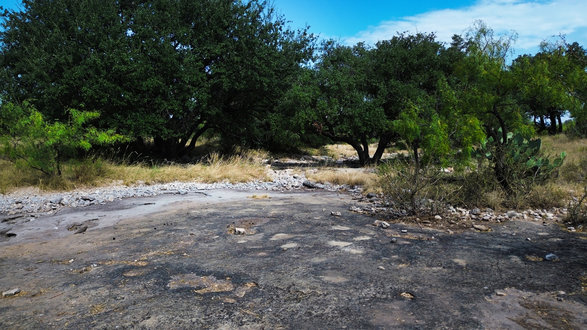 Allison Menard Ranch, photo 5