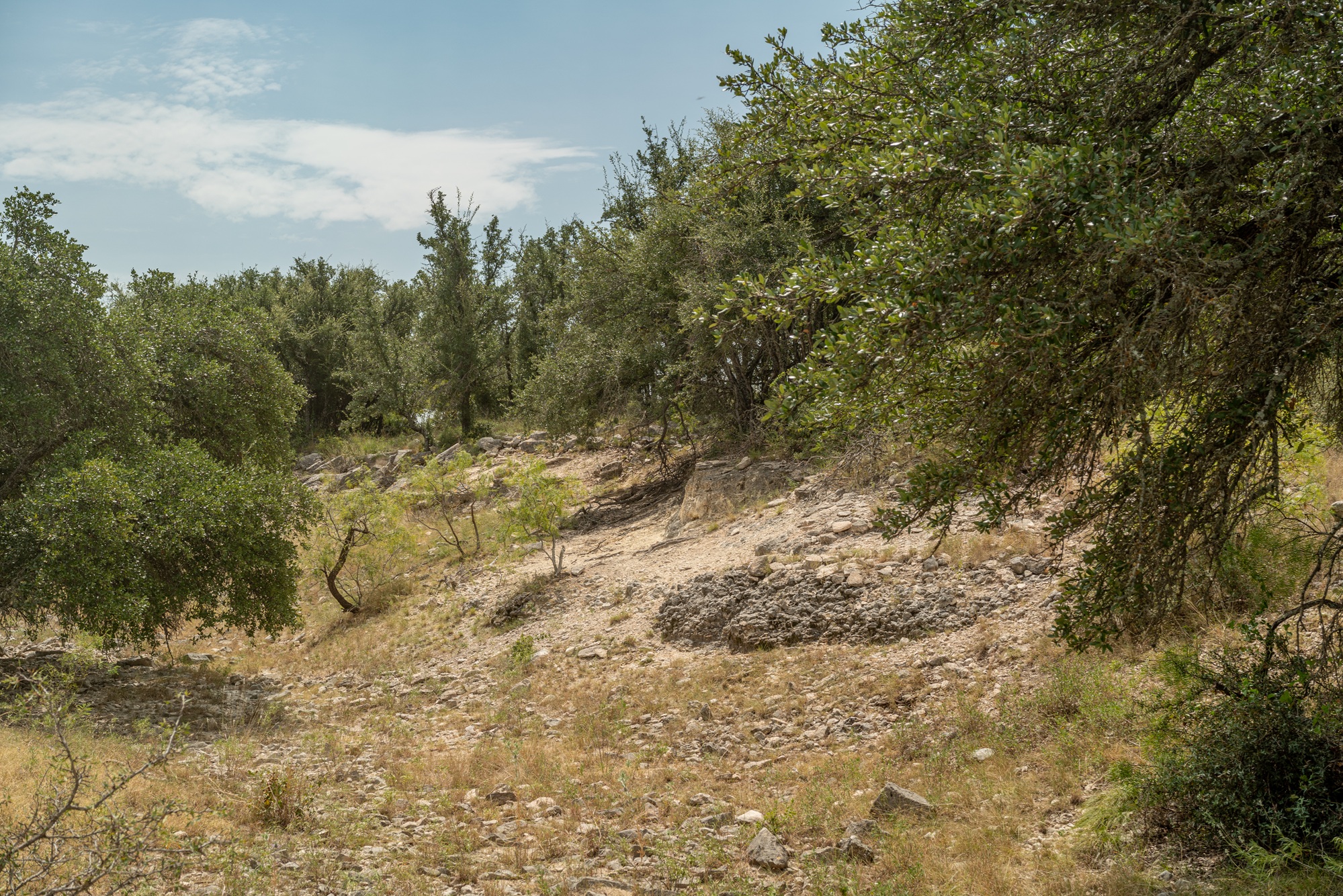 Allison Menard Ranch, photo 7